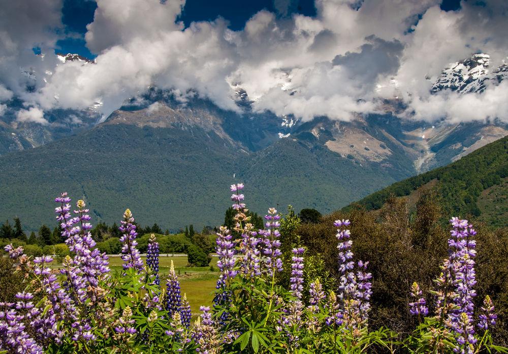 Glenorchy Peaks B&B
