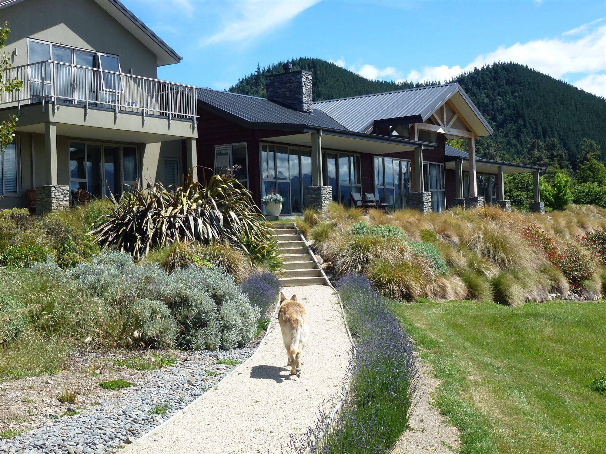 Amuri Estate Retreat