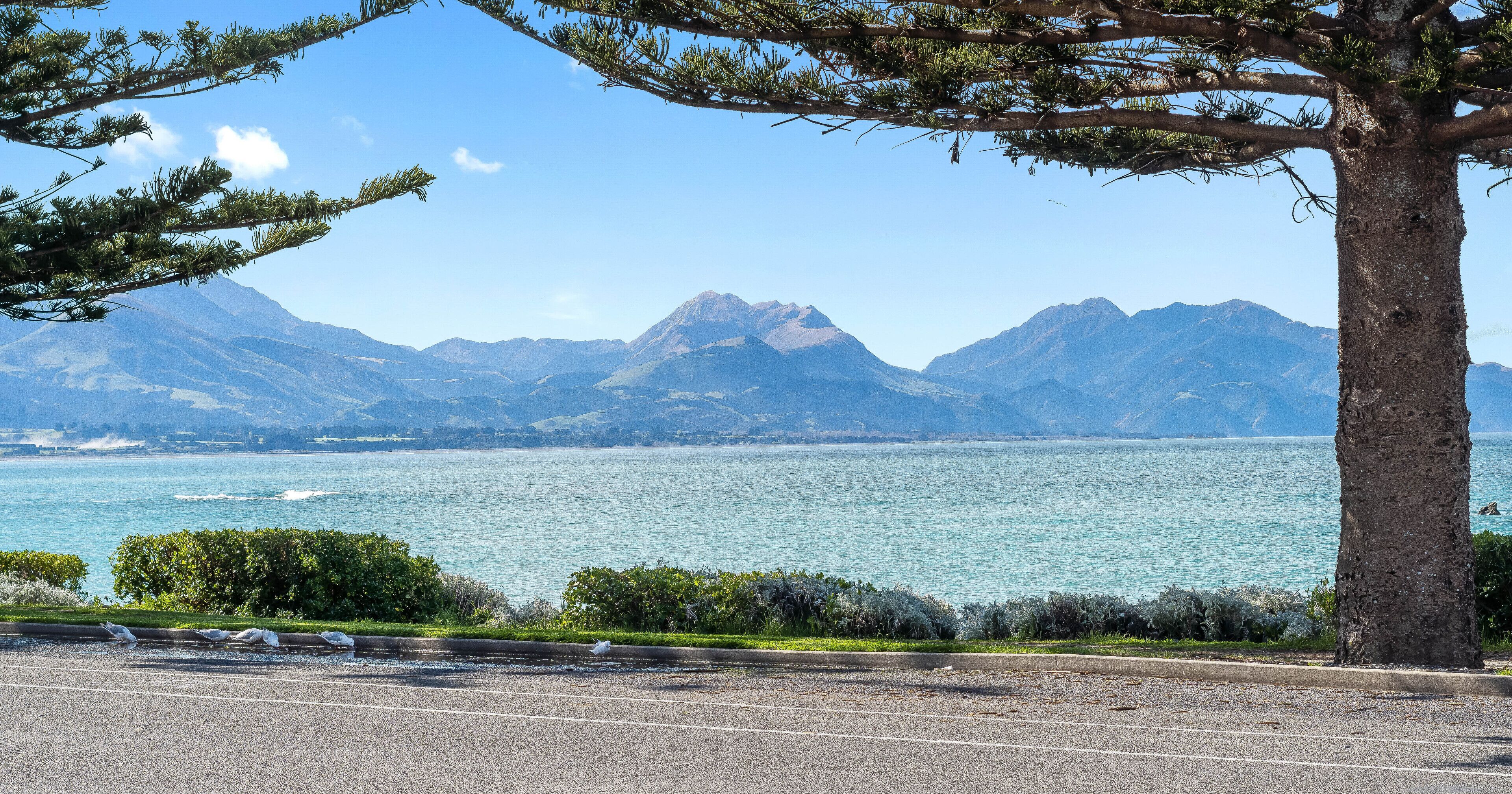 Kaikoura Waterfront Apartments