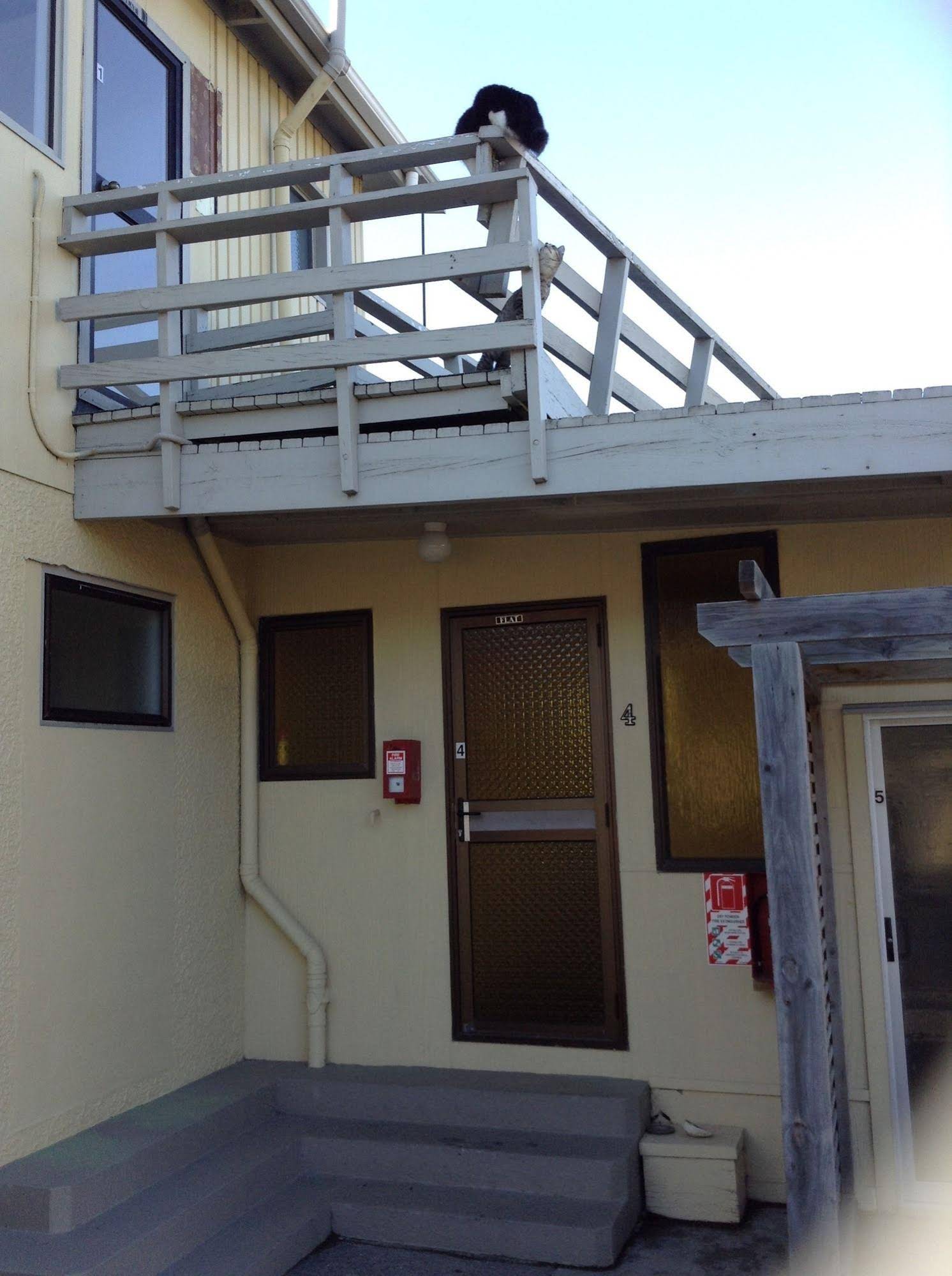 Seaview Motel