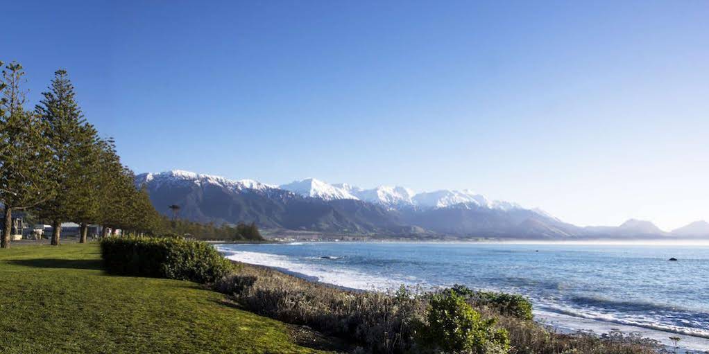 The Hamptons B&B Kaikoura