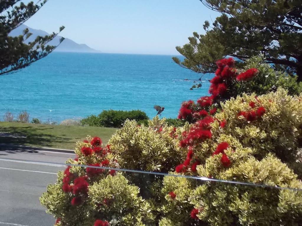 The Hamptons B&B Kaikoura