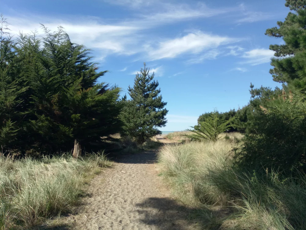 Leithfield Beach Holiday Park