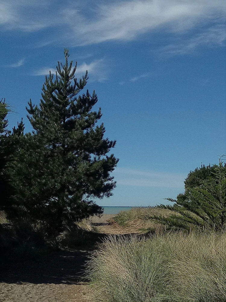 Leithfield Beach Holiday Park