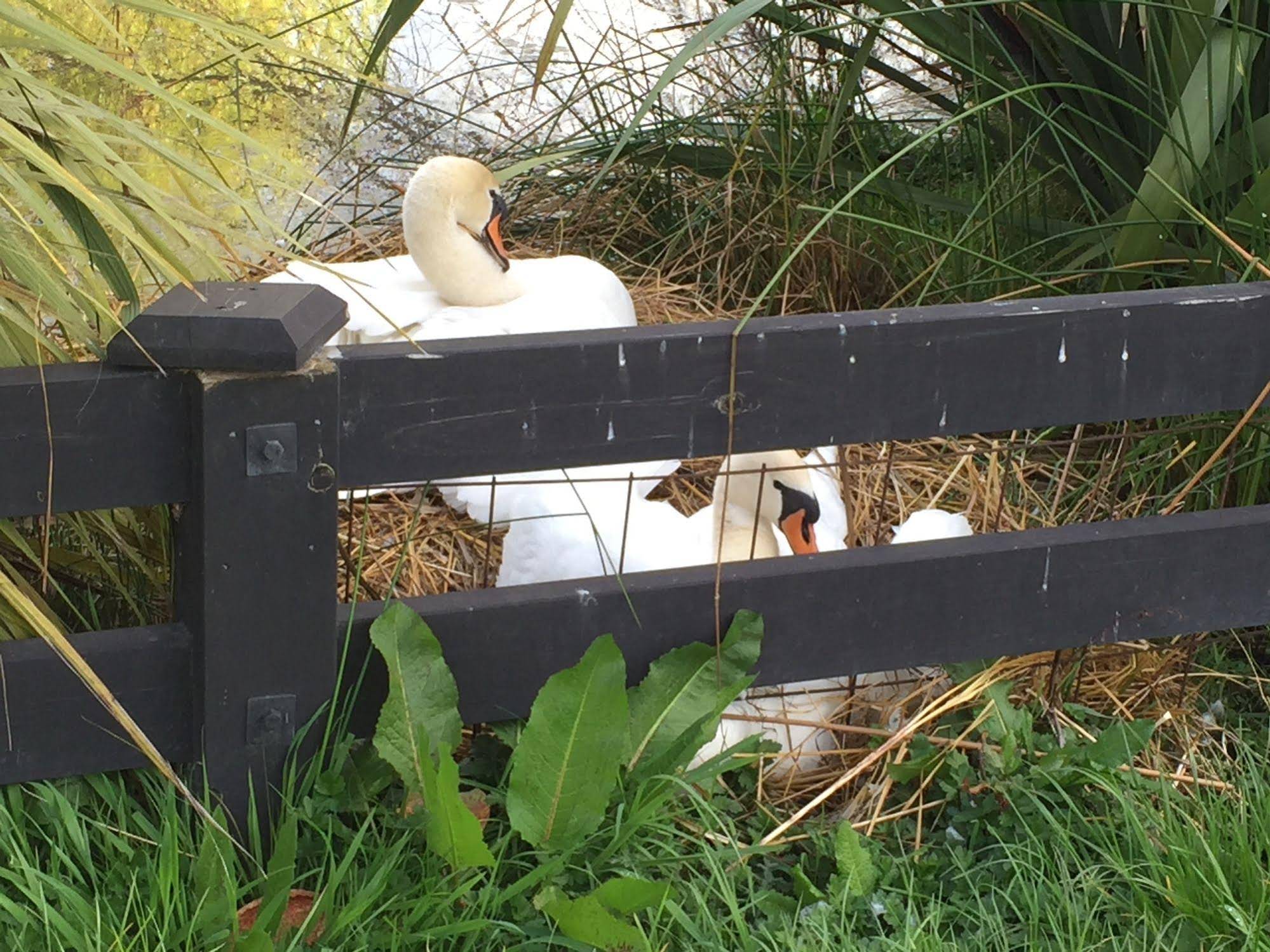 Silverstream Lodge