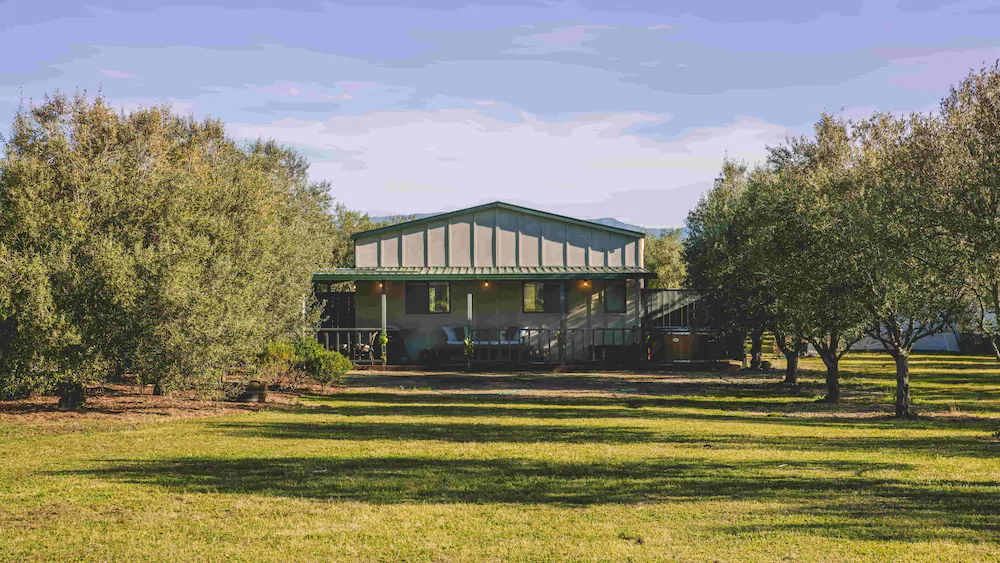 Olive & Vine Estate