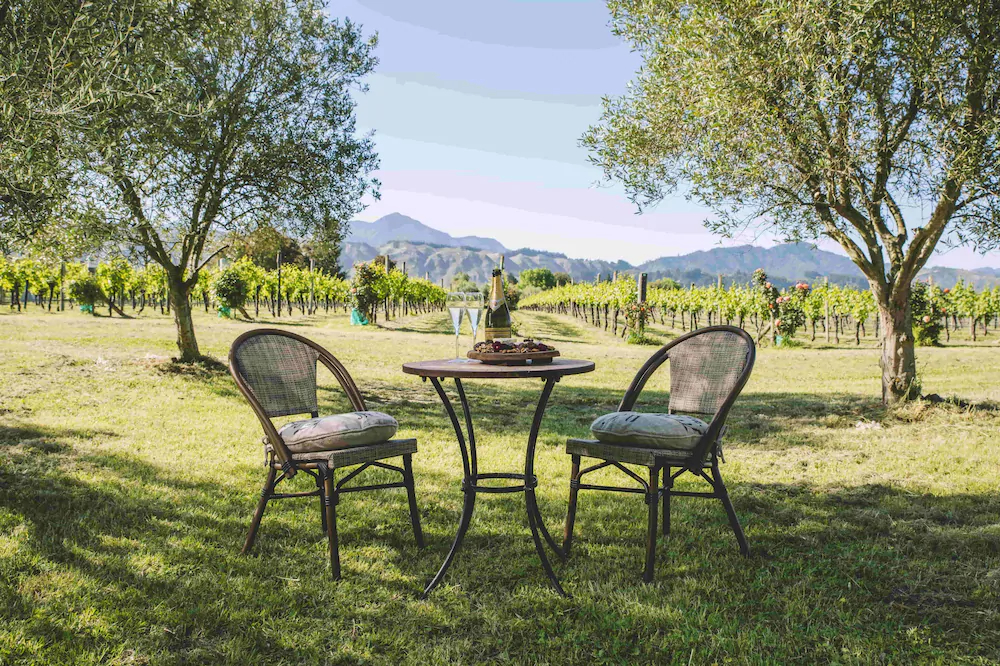 Olive & Vine Estate