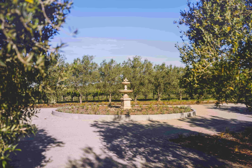 Olive & Vine Estate