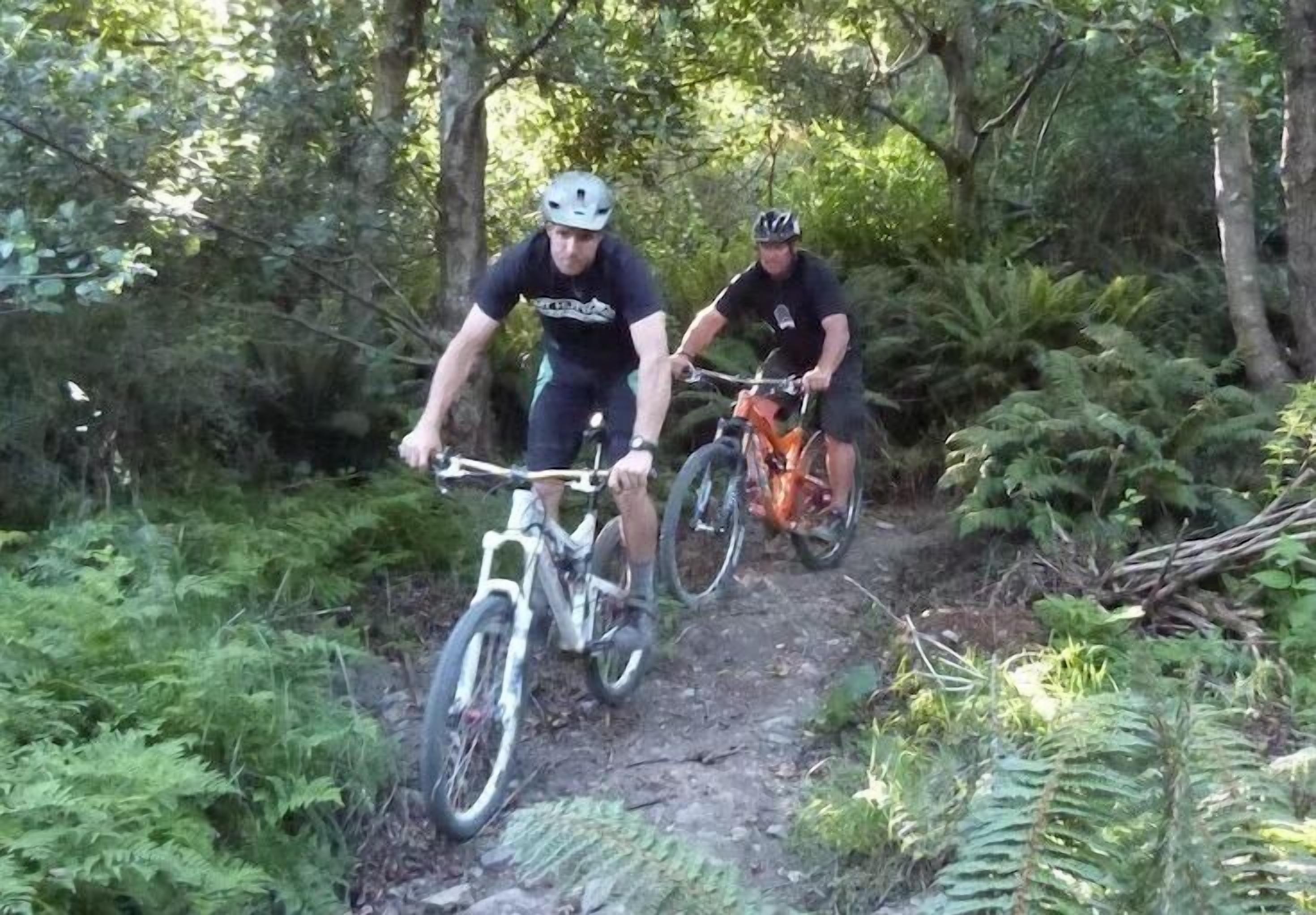 Pudding Hill Lodge & Chalets