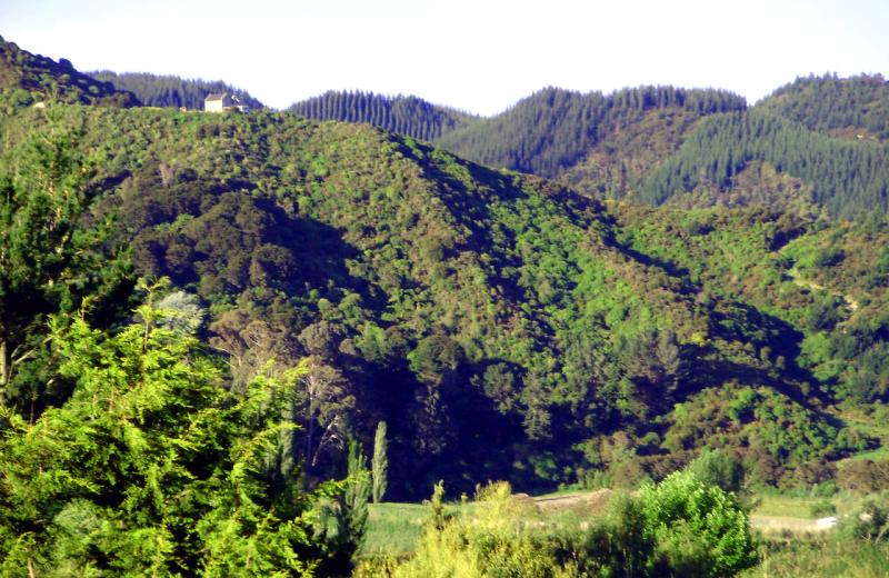Terraced Chalets