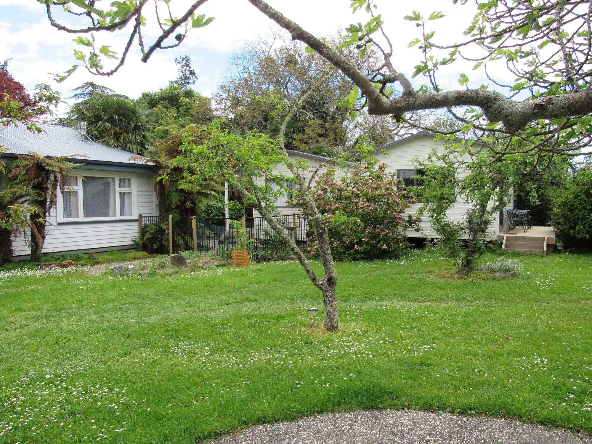 White Elephant Backpackers And Lodge