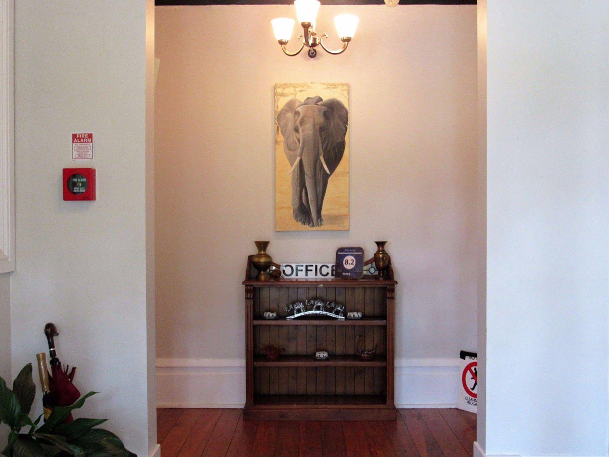 White Elephant Backpackers And Lodge