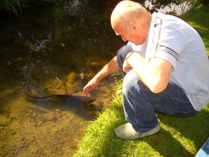 Ambleside Luxury Bed & Breakfast
