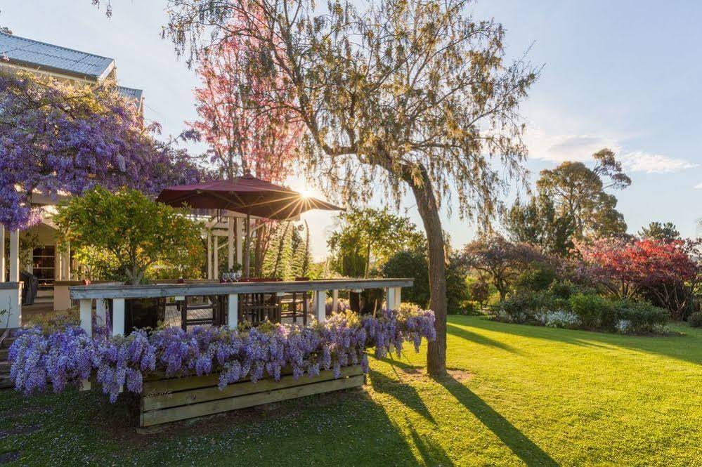 Te Koi - The Lodge At Bronte