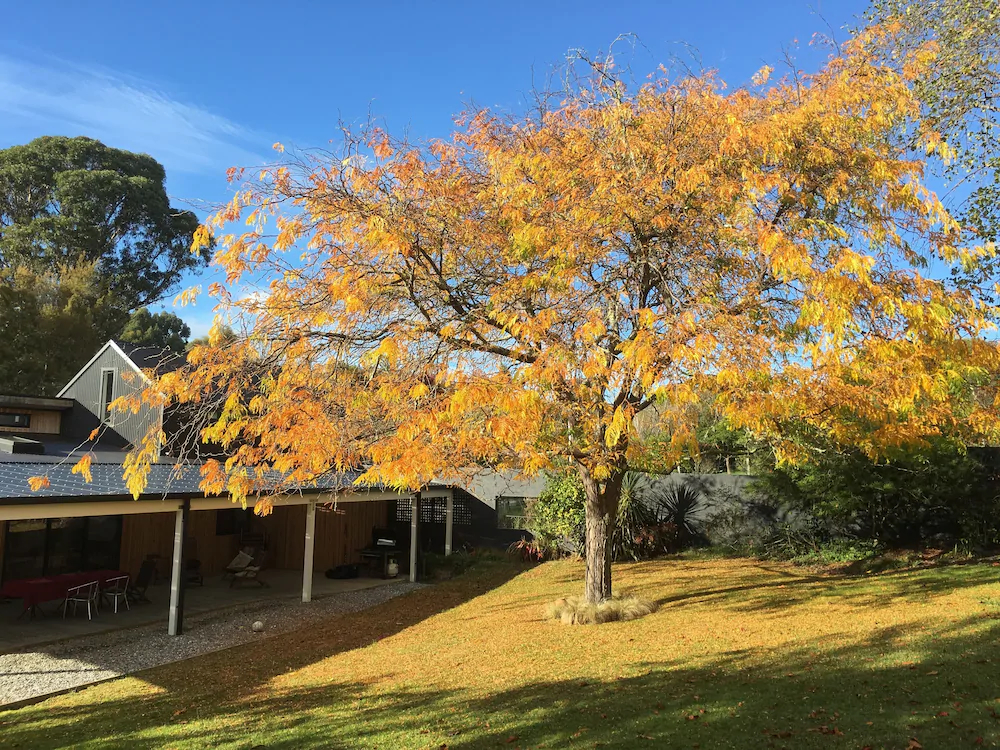 korepo lodge
