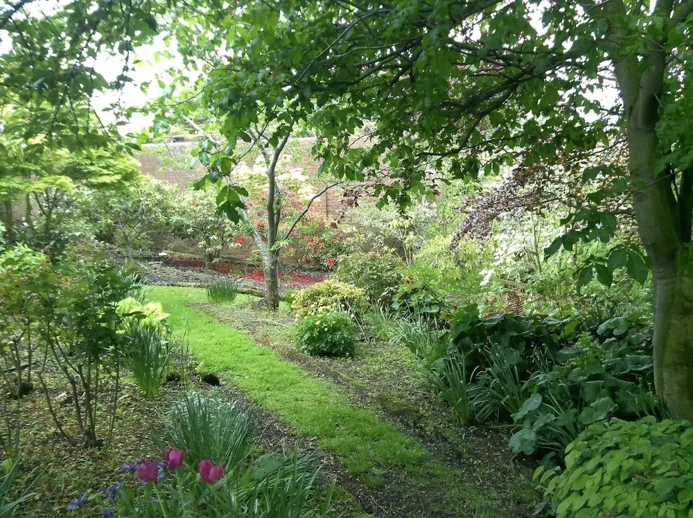 The Fern & Thistle