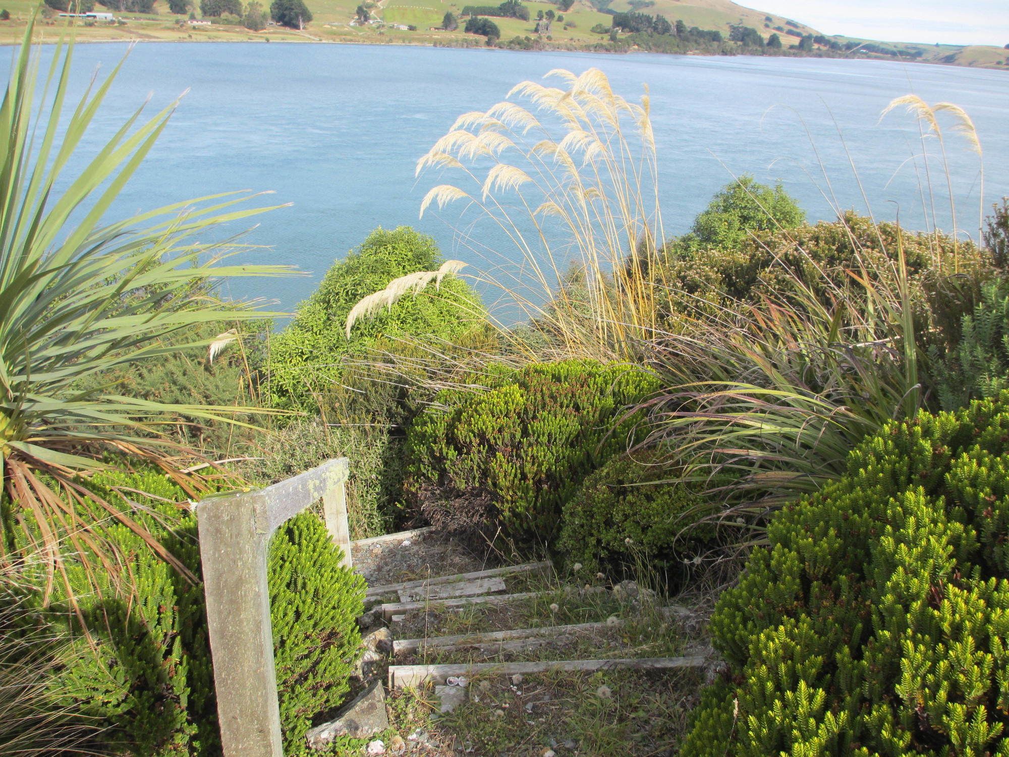 Catlins Lake Sanctuary
