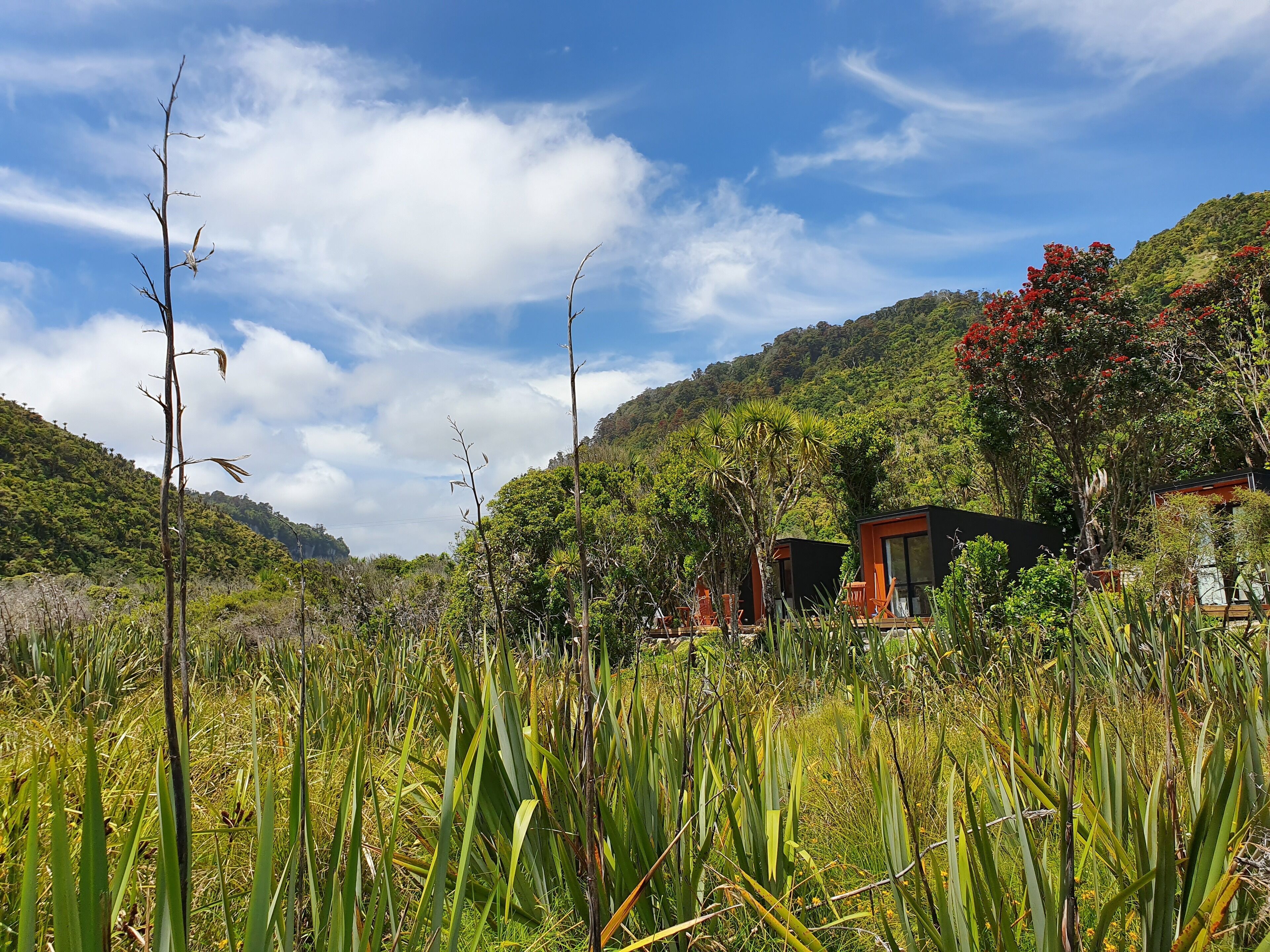Punakaiki Beach Camp