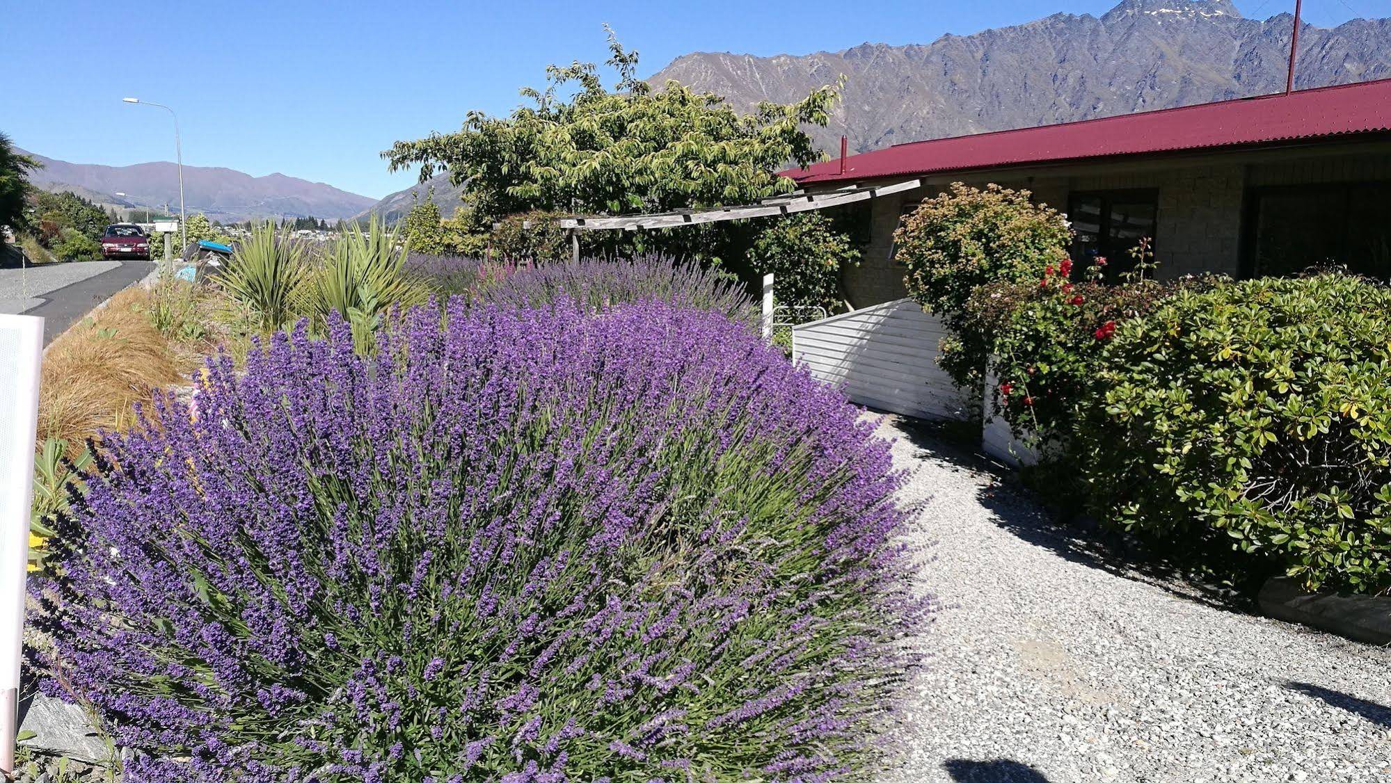 Aquarius De Lavender Lake View B&B