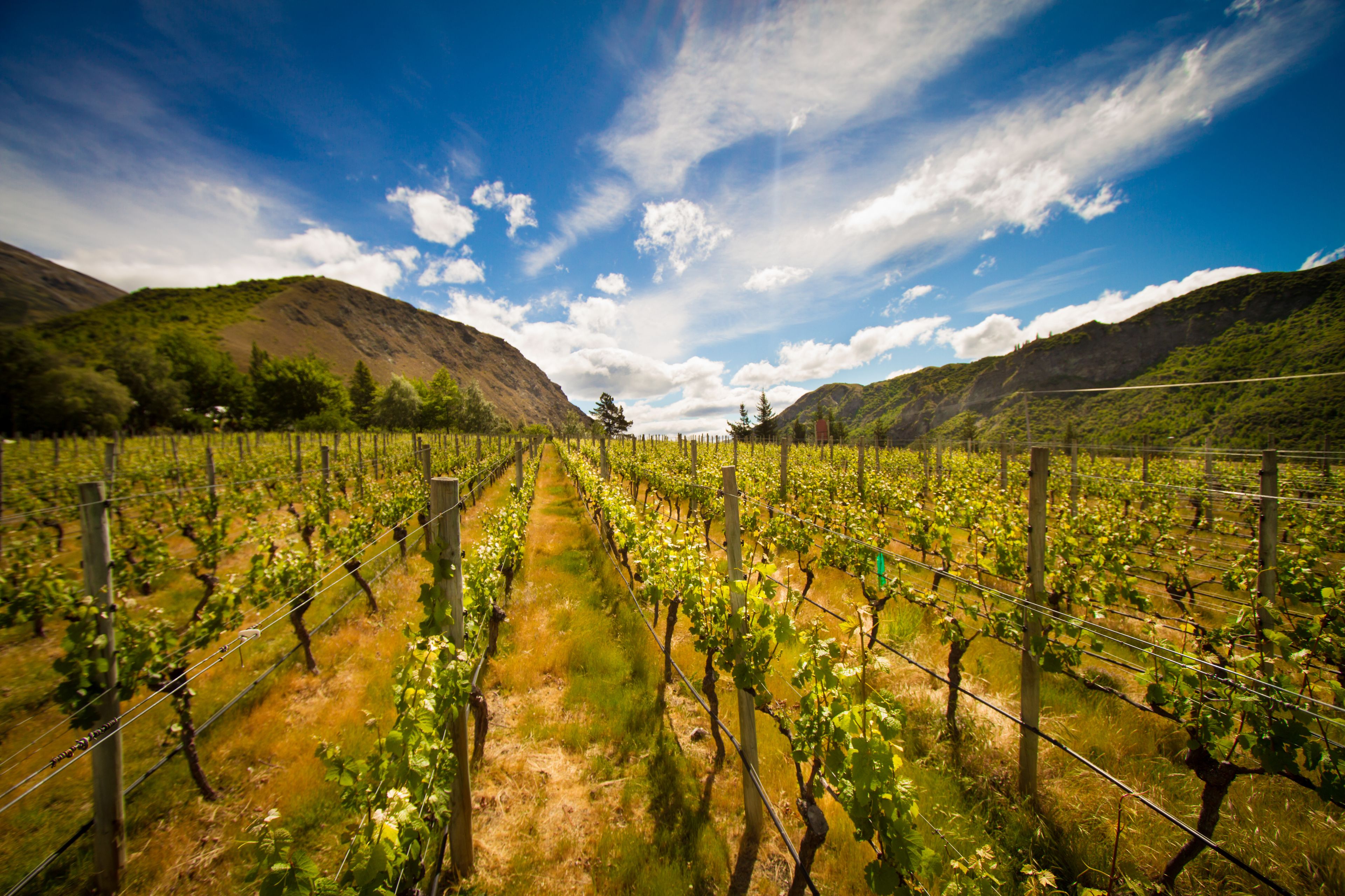 Gibbston Valley Lodge & Spa