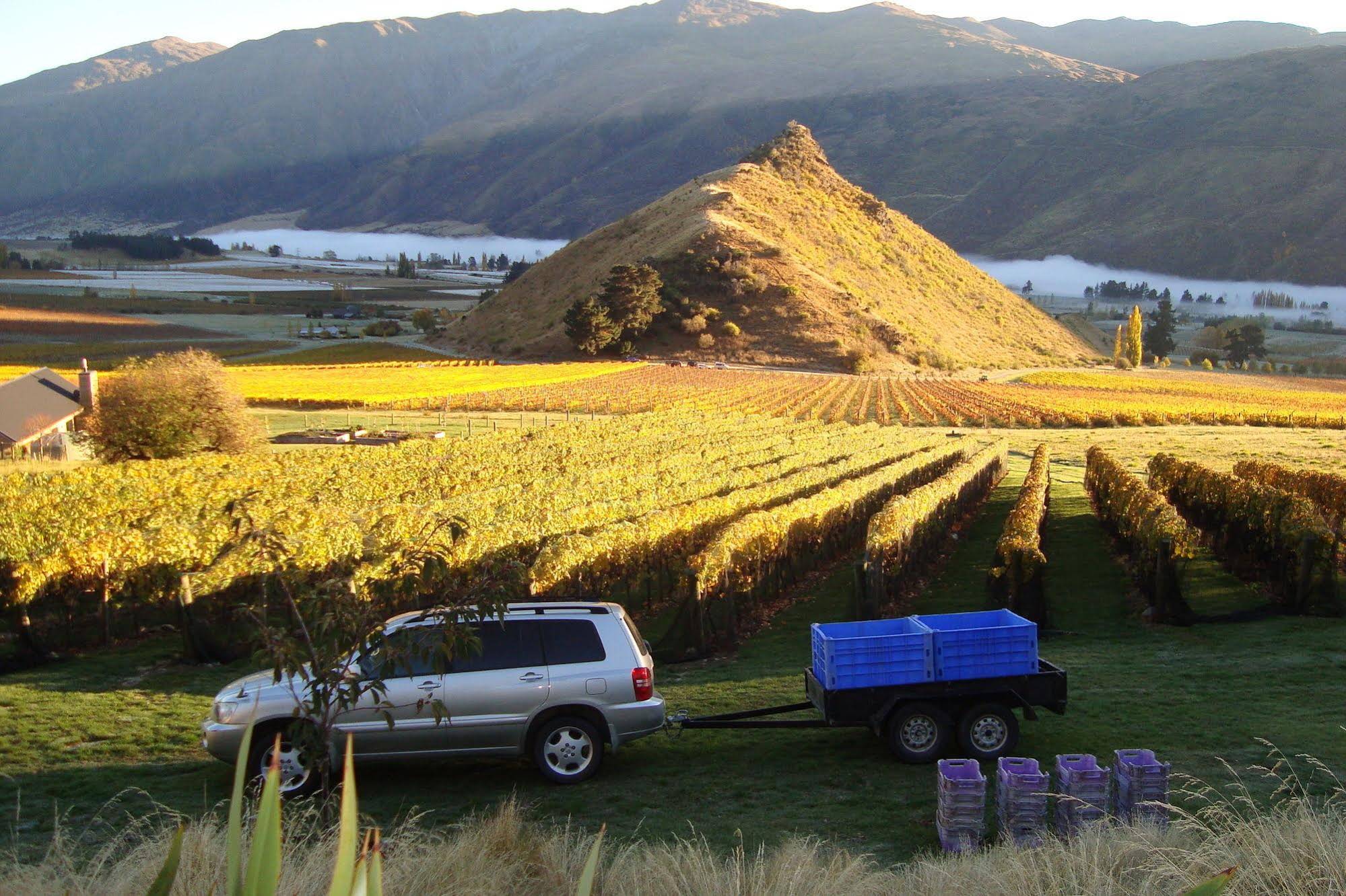 Mt Rosa Lodge Queenstown