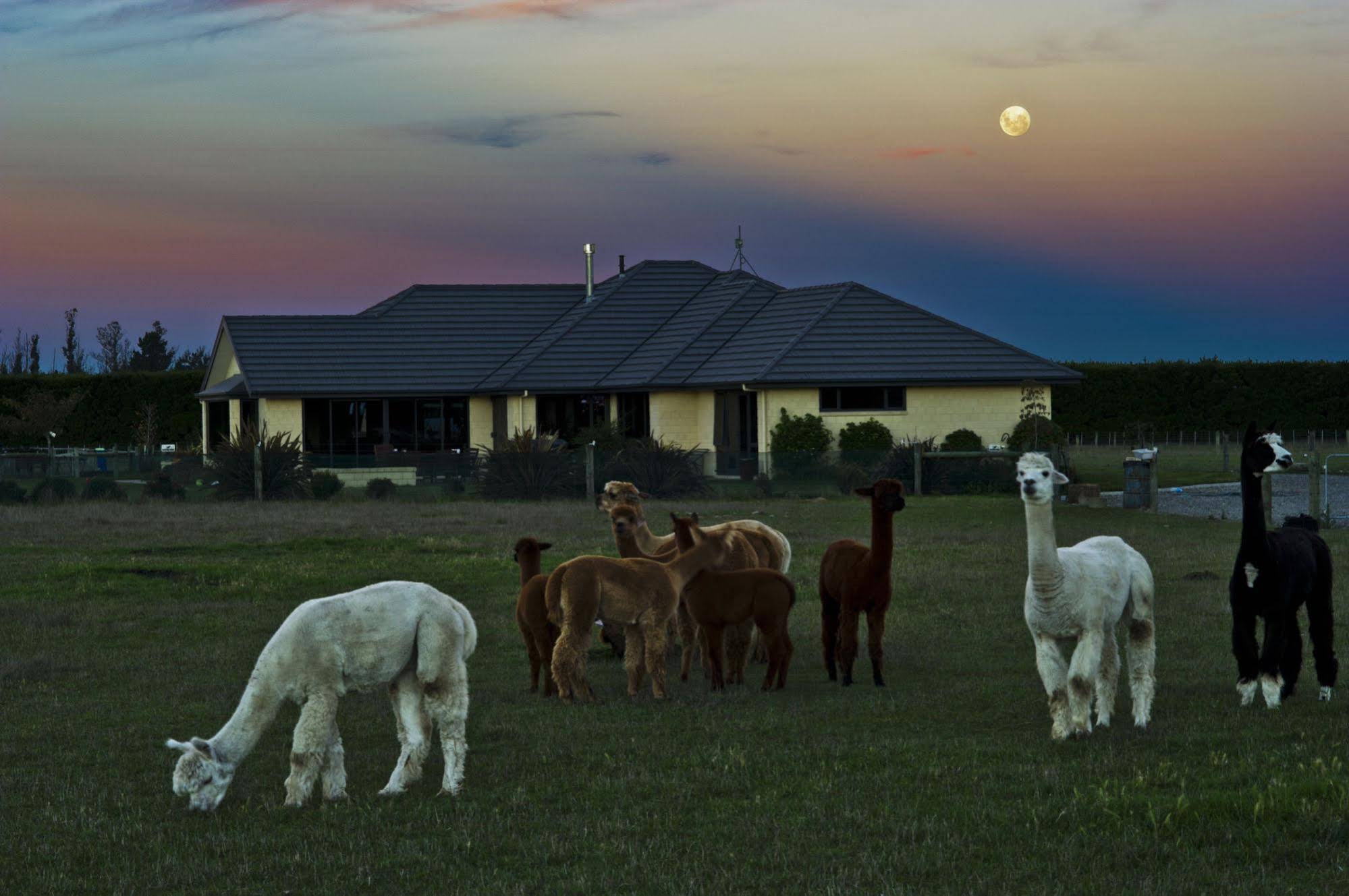 Pete's Farm Stay