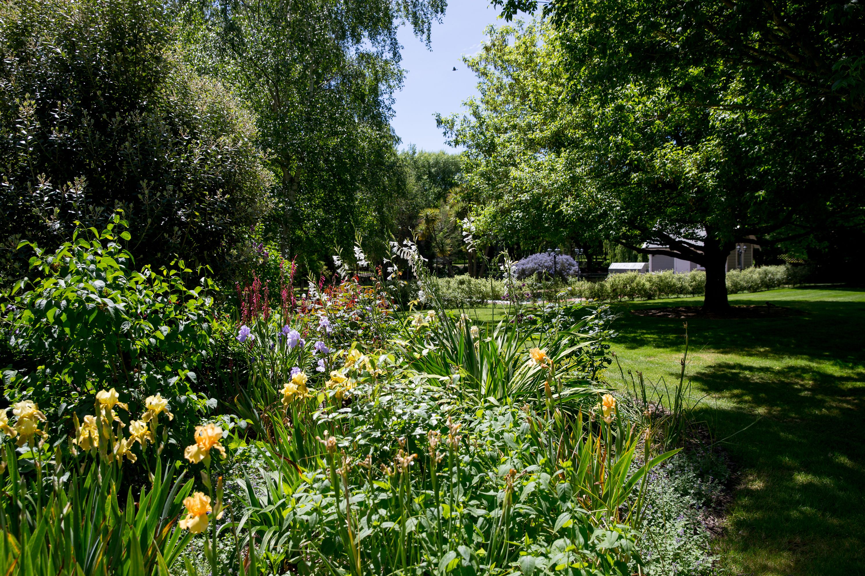 The Malborough
