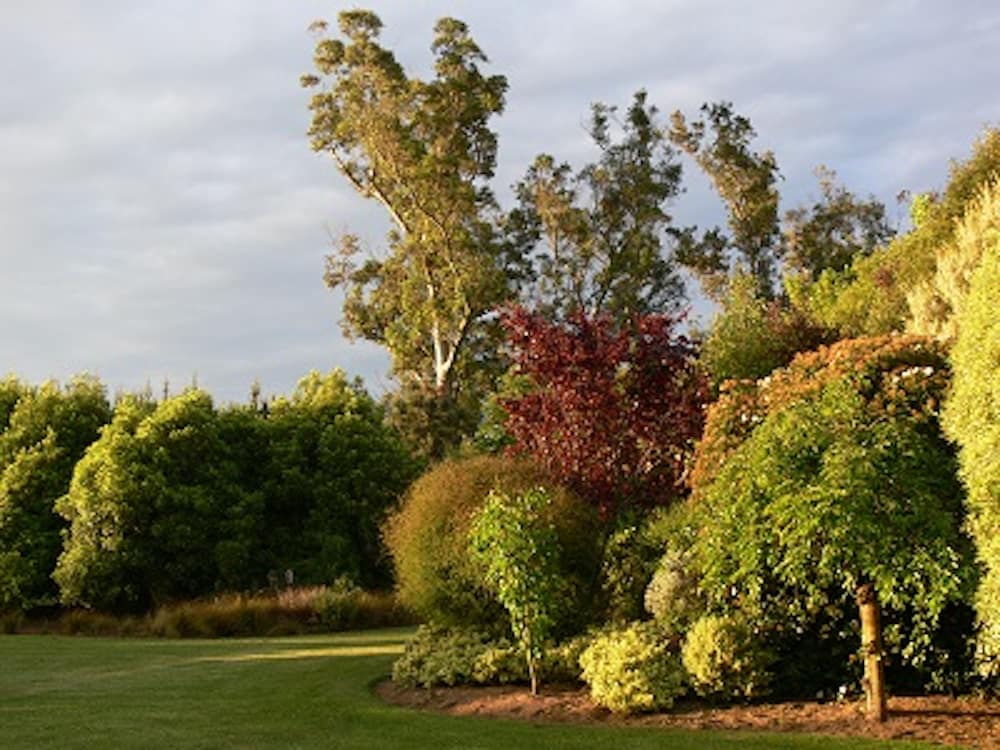 Garden View Bed & Breakfast
