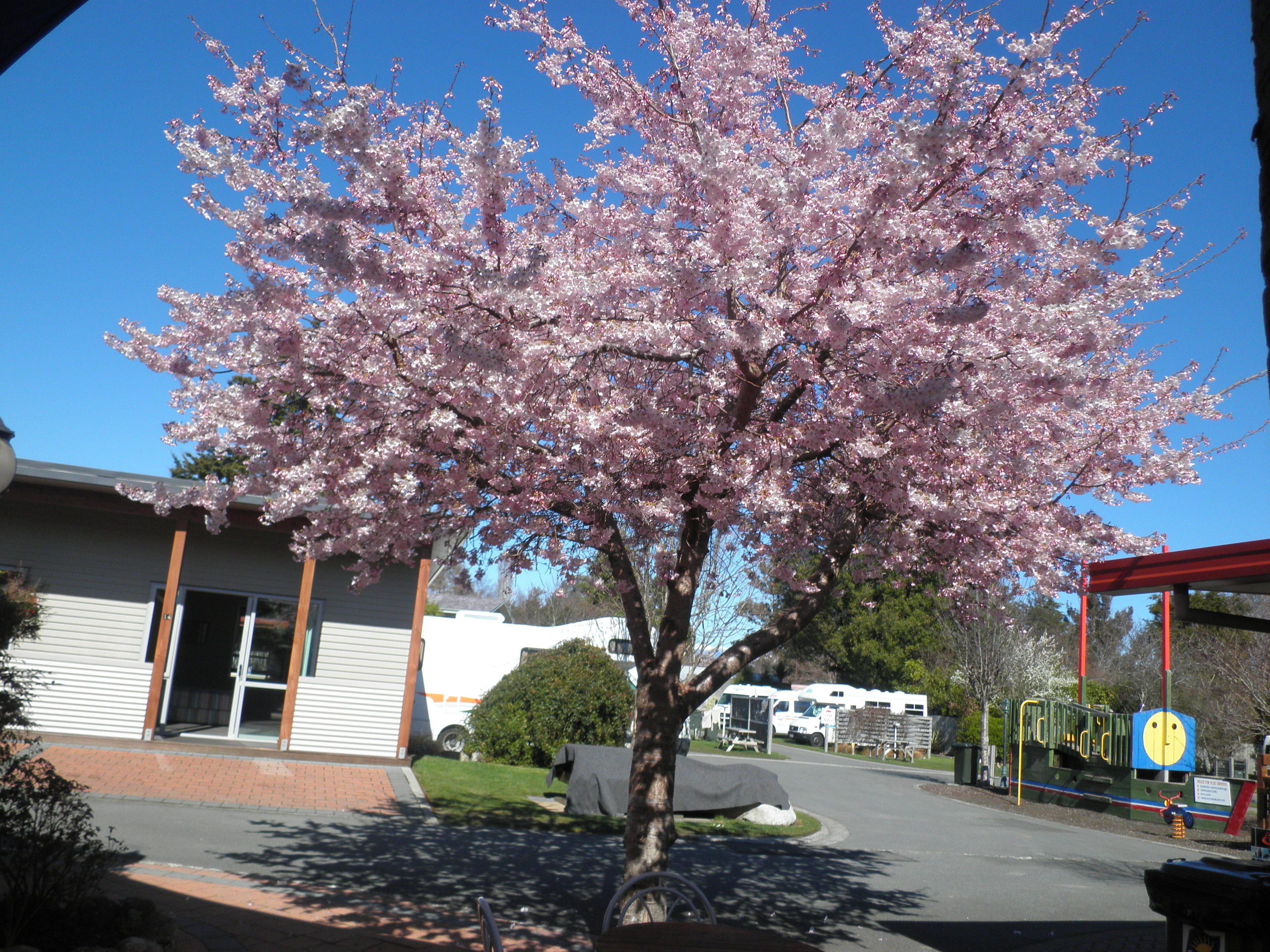 Tasman Holiday Parks – Te Anau