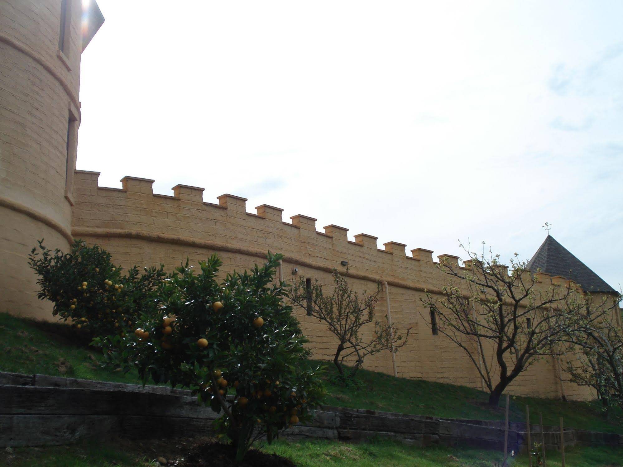 The Mudcastle