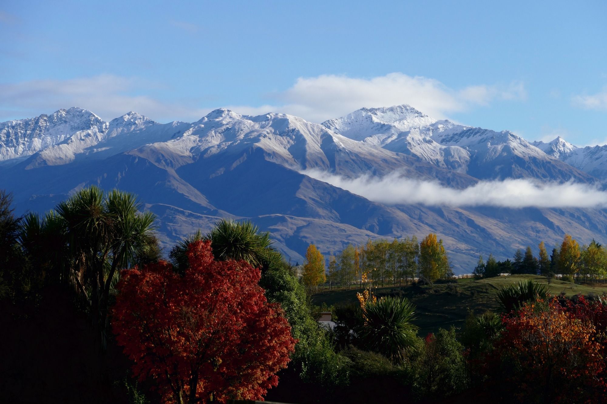 Wanaka Kiwi Holiday Park & Motels