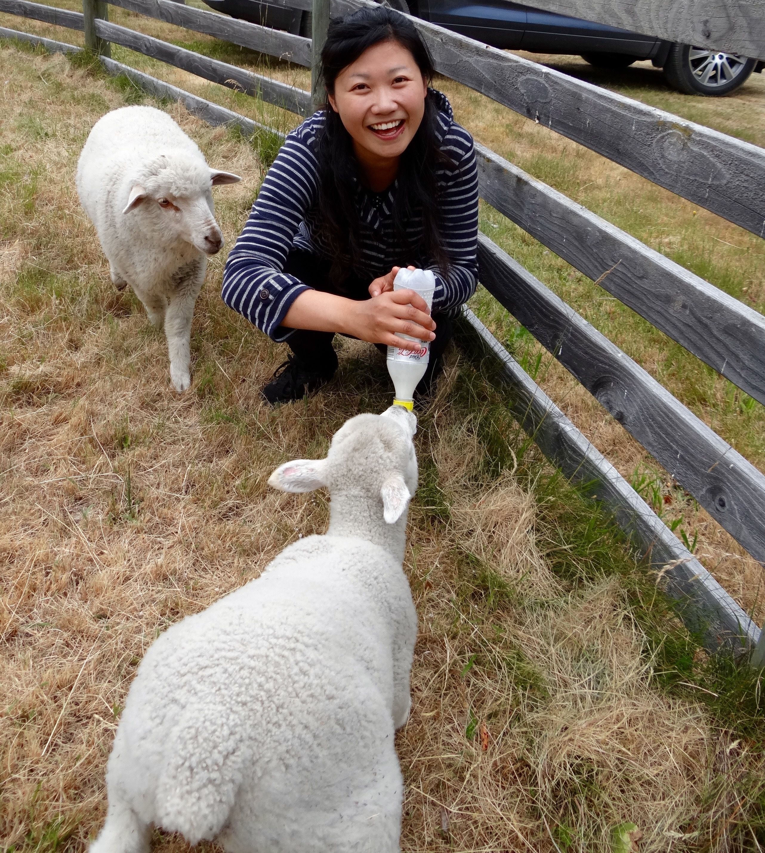 Mitchella Farm Bed & Breakfast