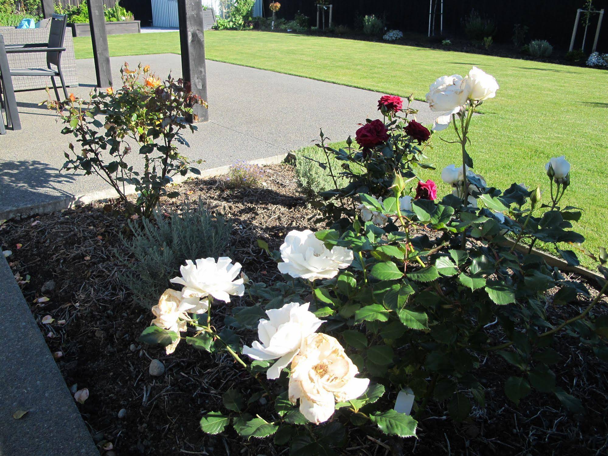Halkett Grove Bed and Breakfast