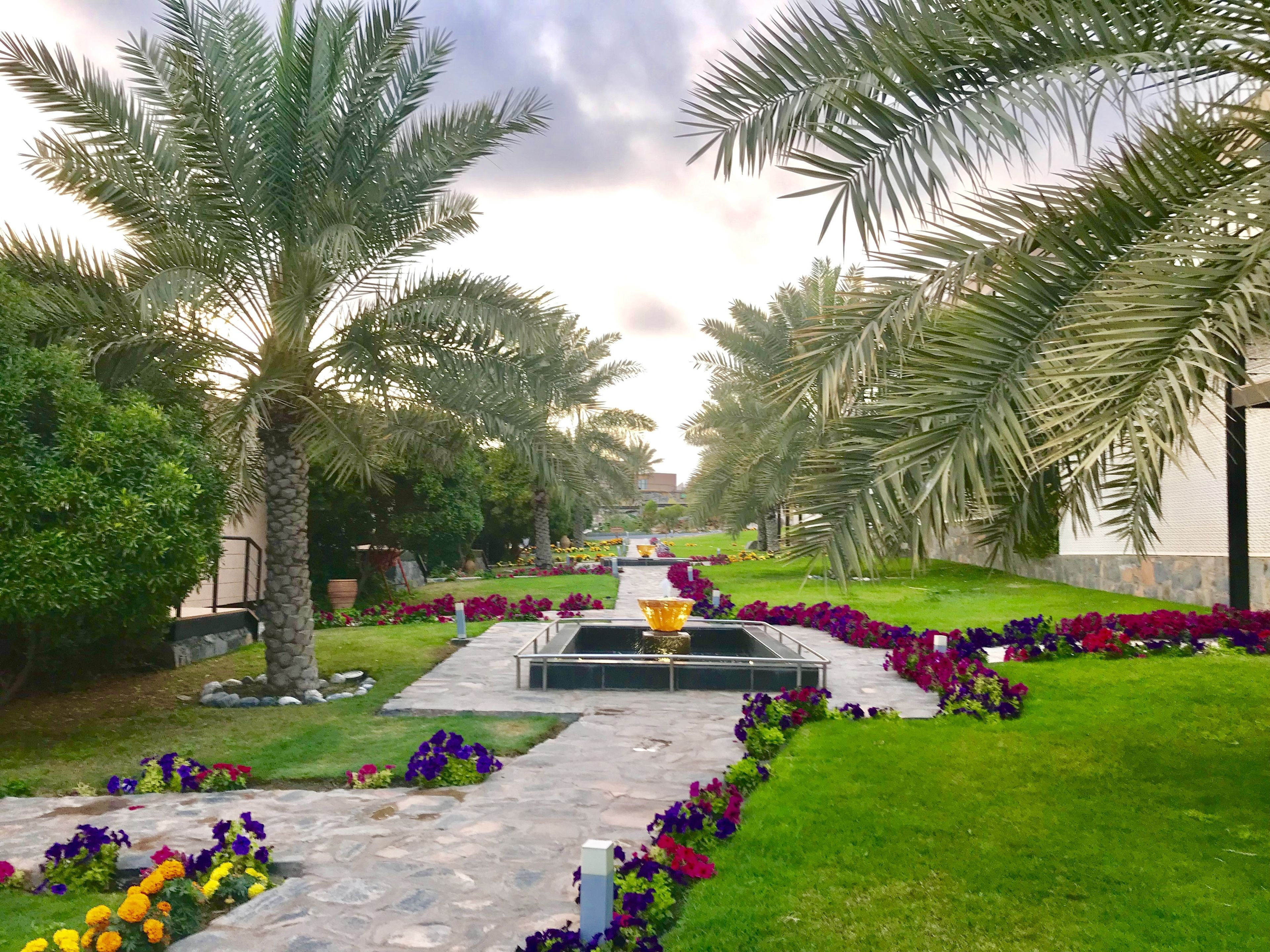 The View Oman