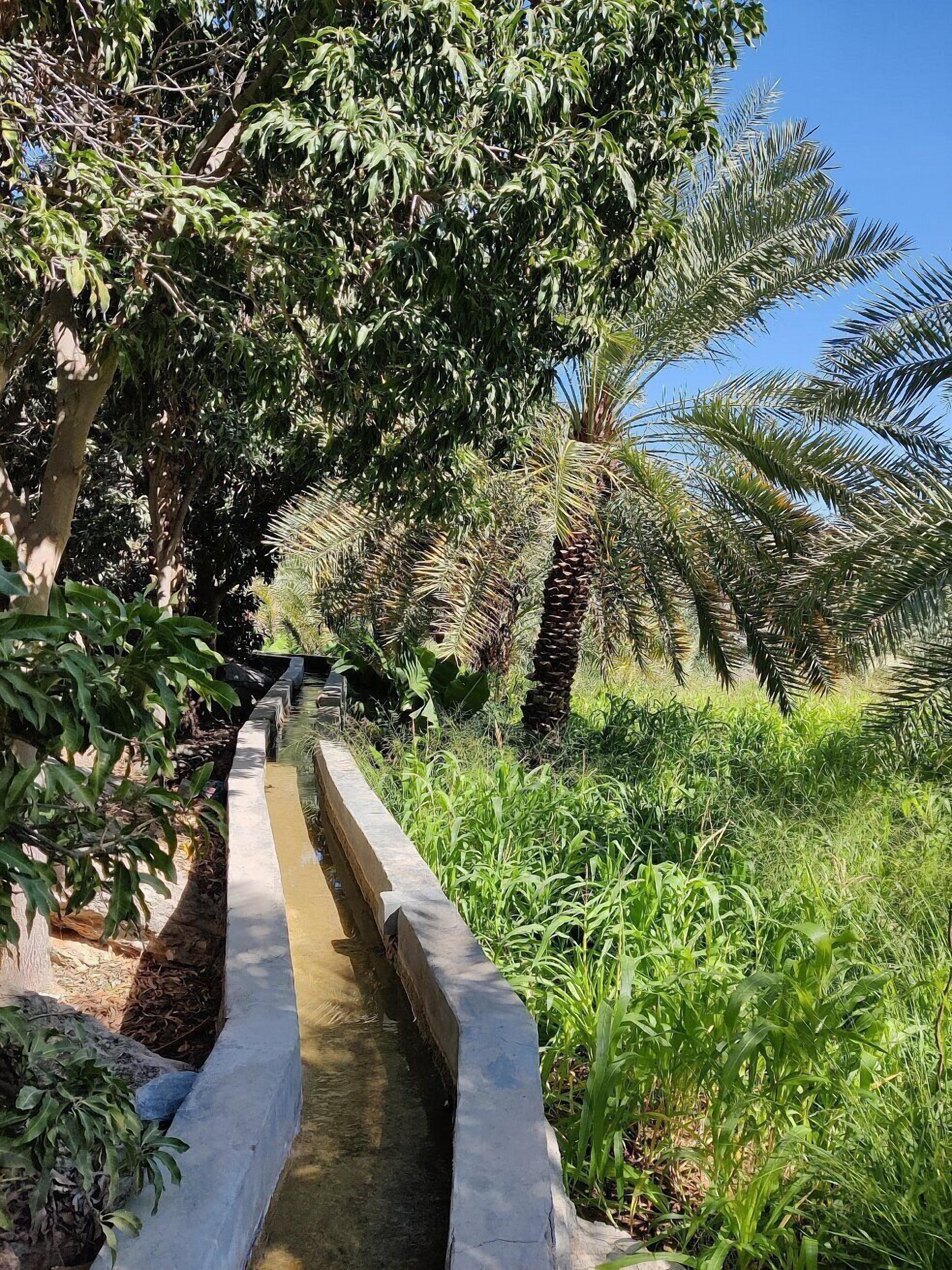 The View Oman