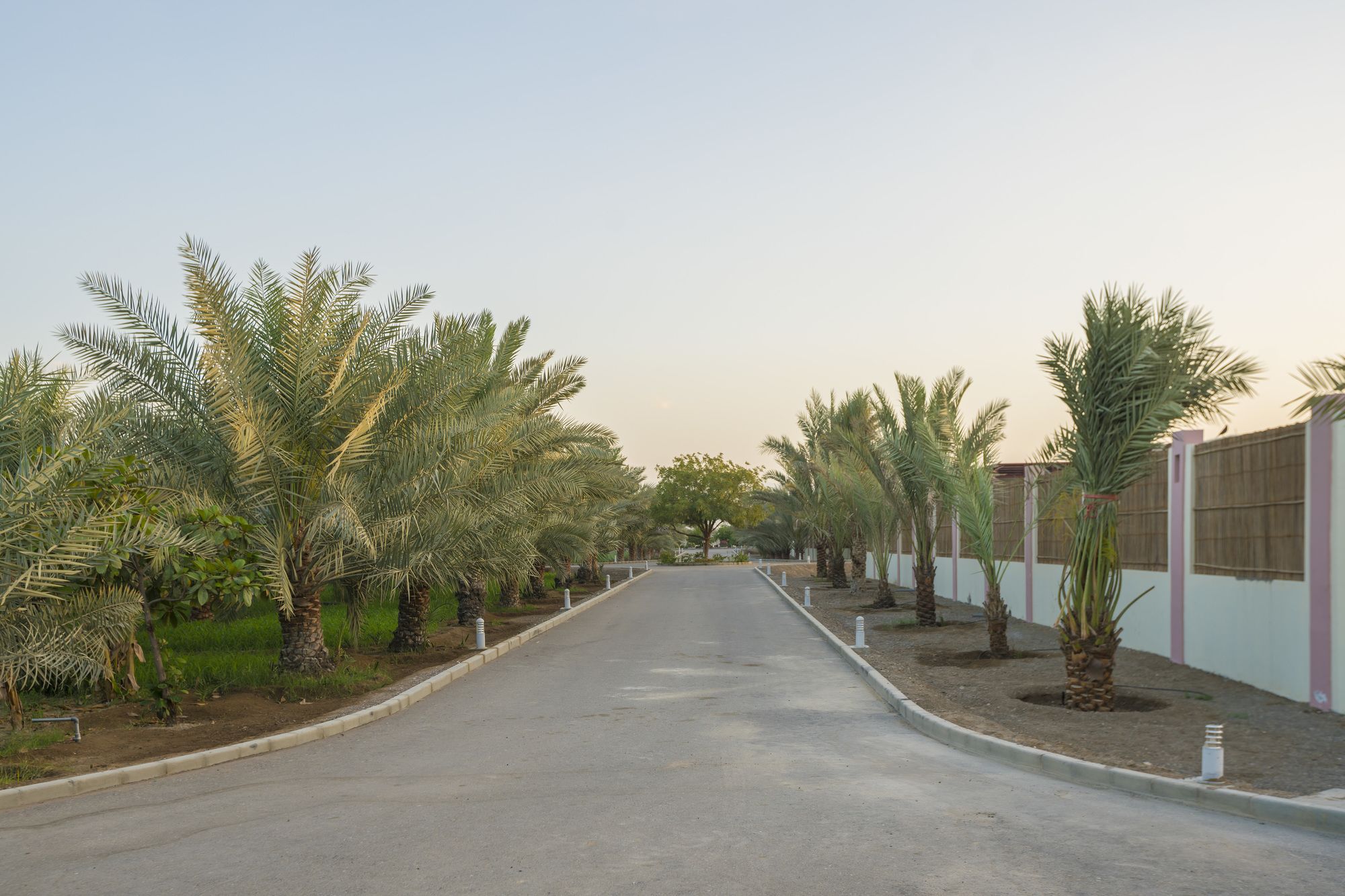 Asahalah Farm Villas