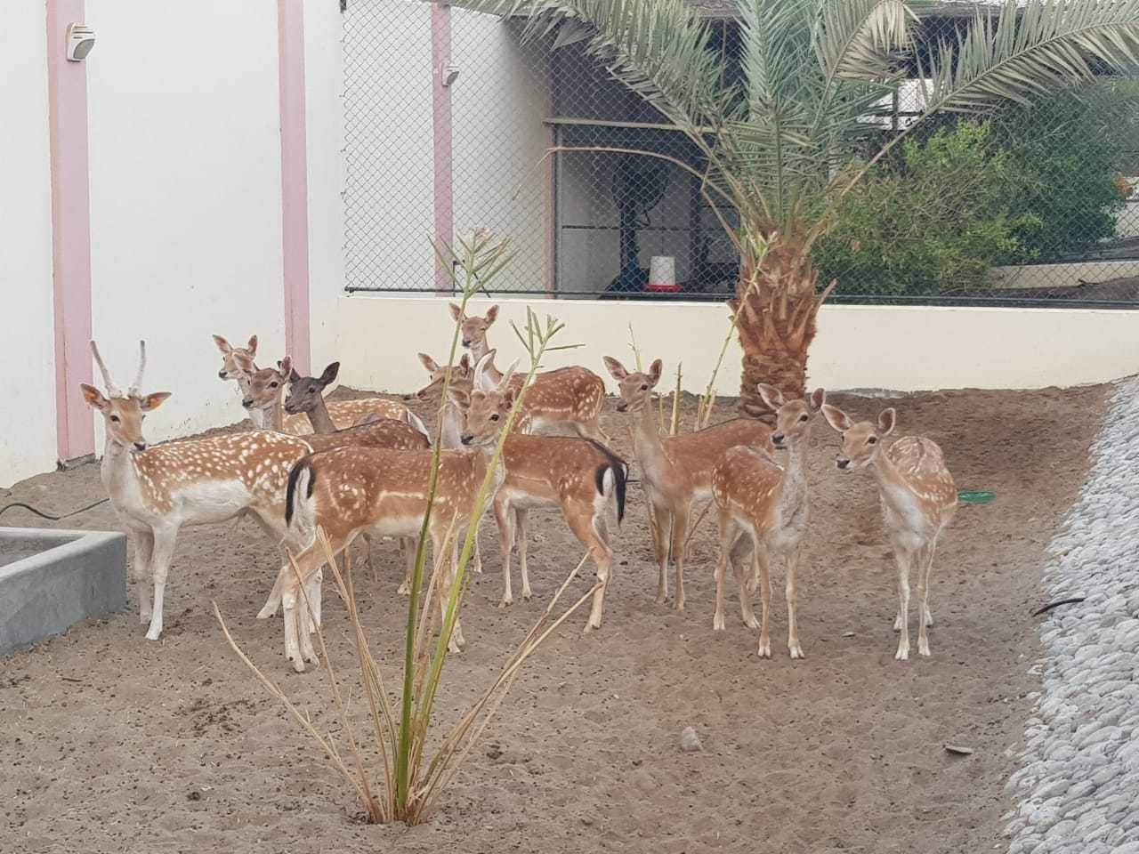 Asahalah Farm Villas