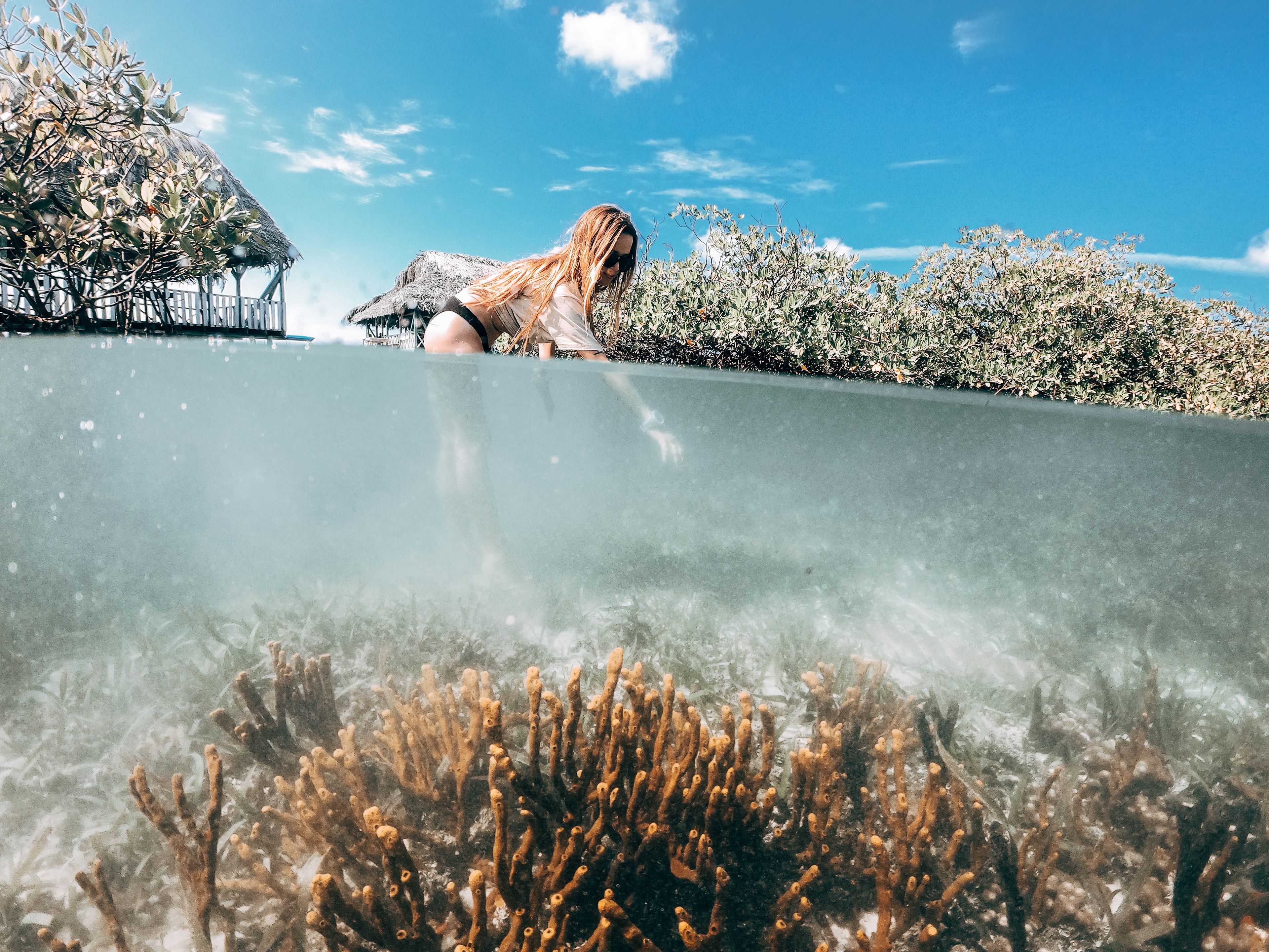 Selina Bocas del Toro