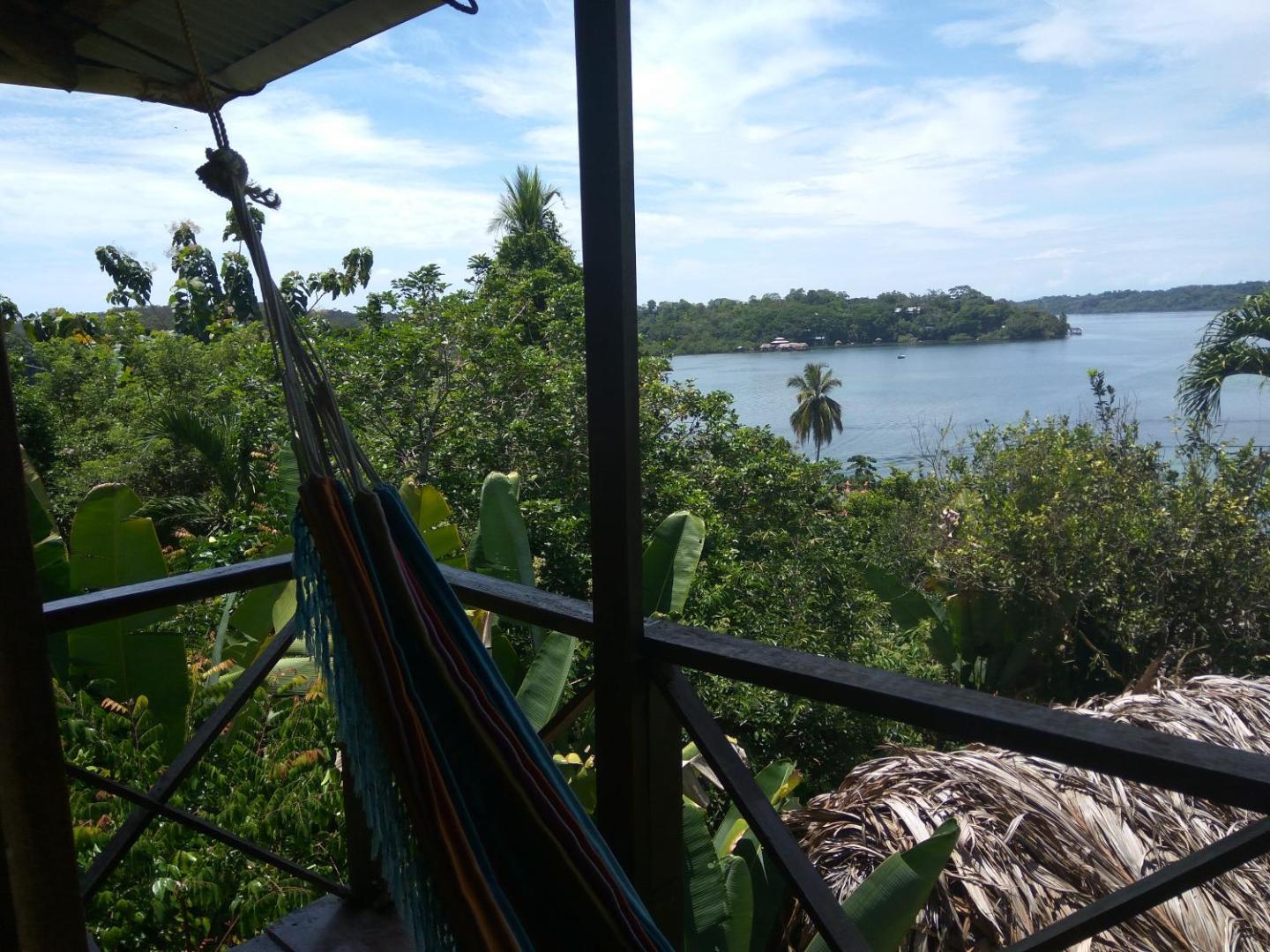 Beverly's Hill Guest House