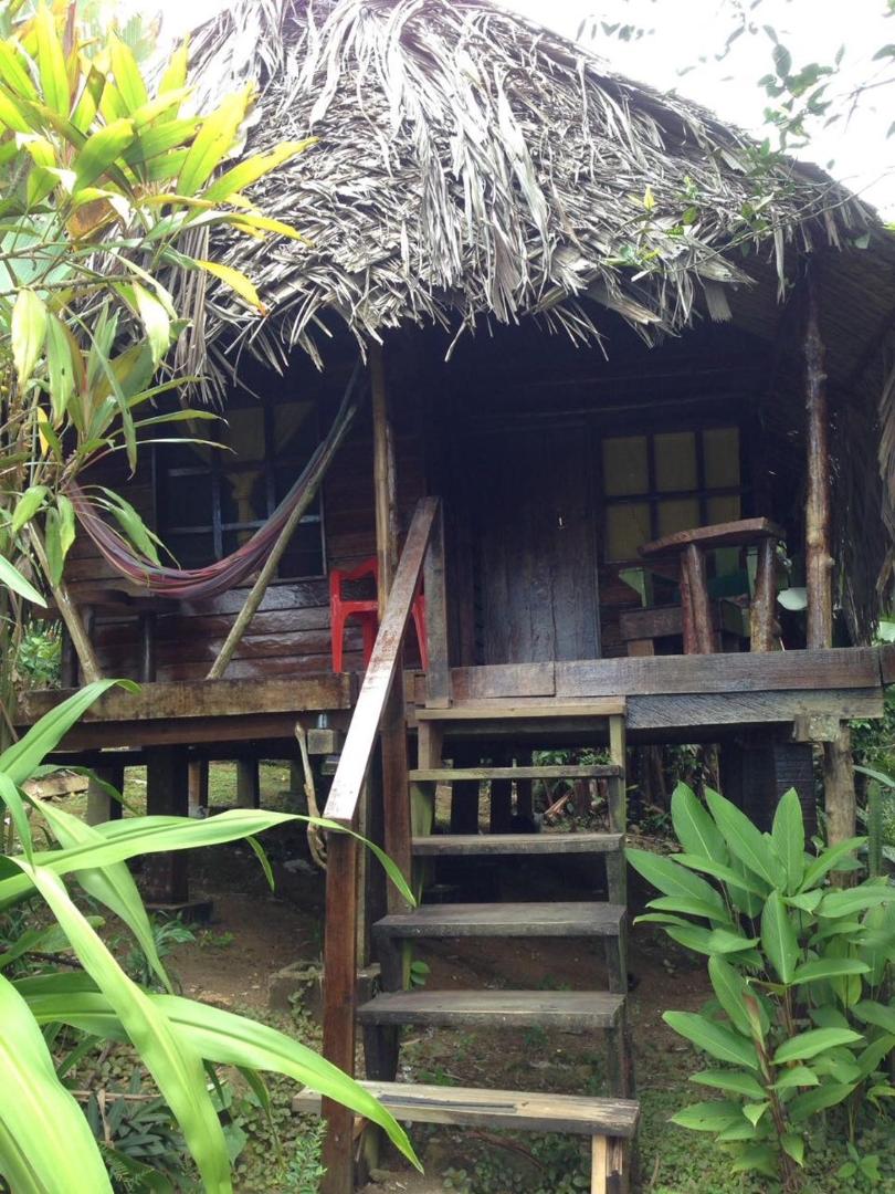 Beverly's Hill Guest House