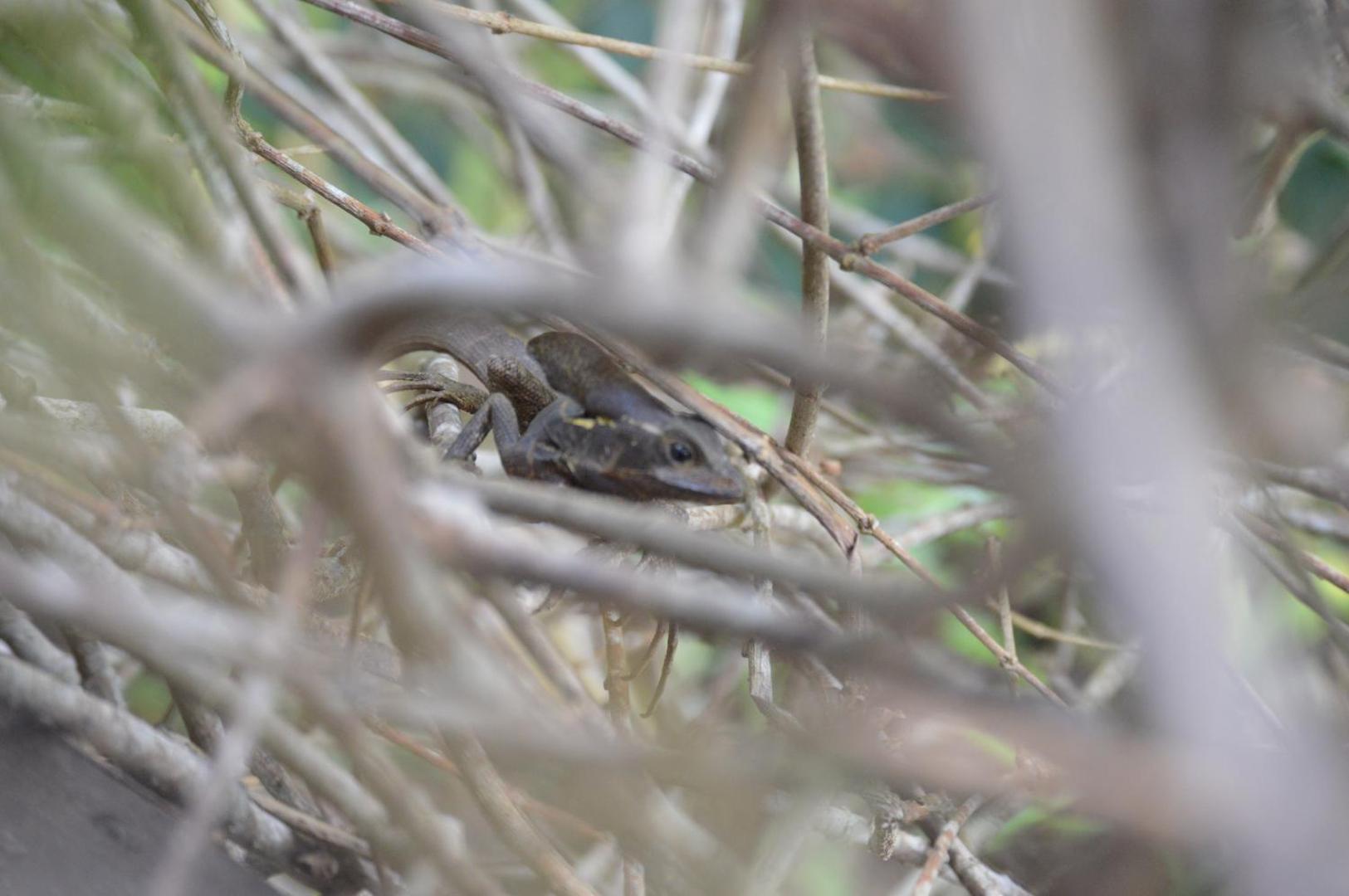 Beverly's Hill Guest House