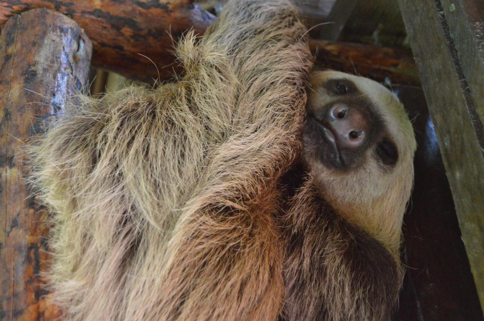 Beverly's Hill Guest House