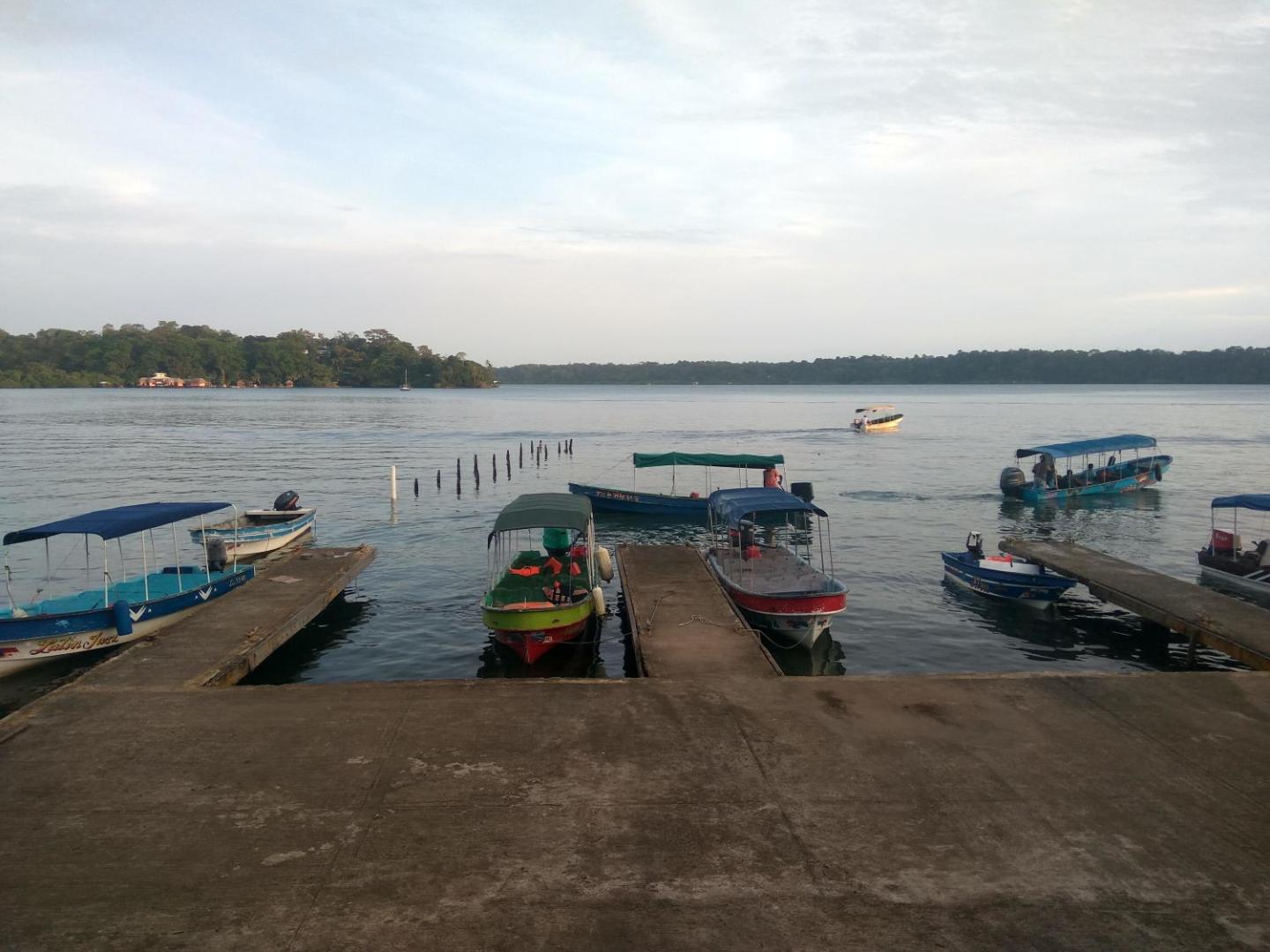 Beverly's Hill Guest House