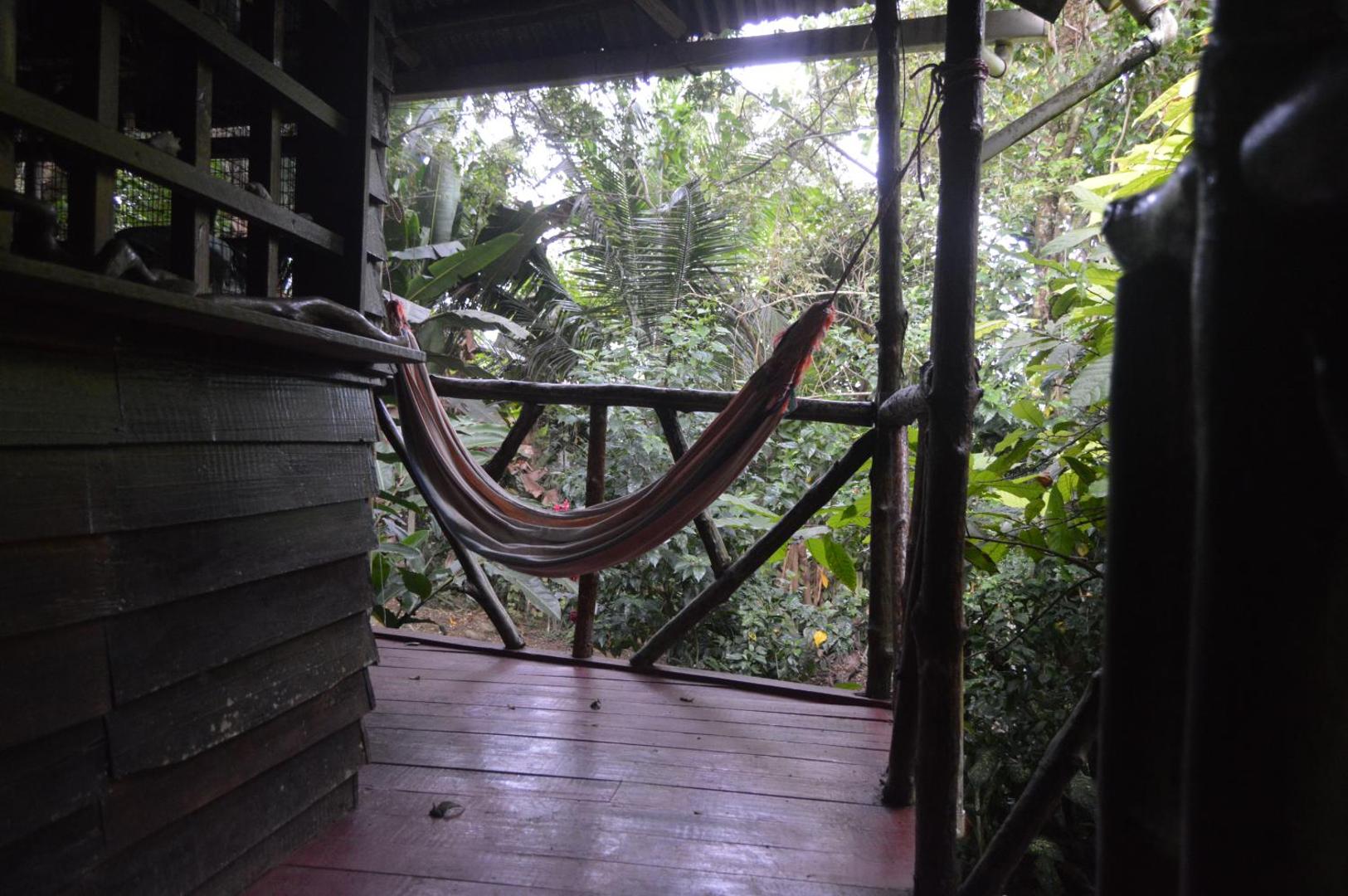 Beverly's Hill Guest House