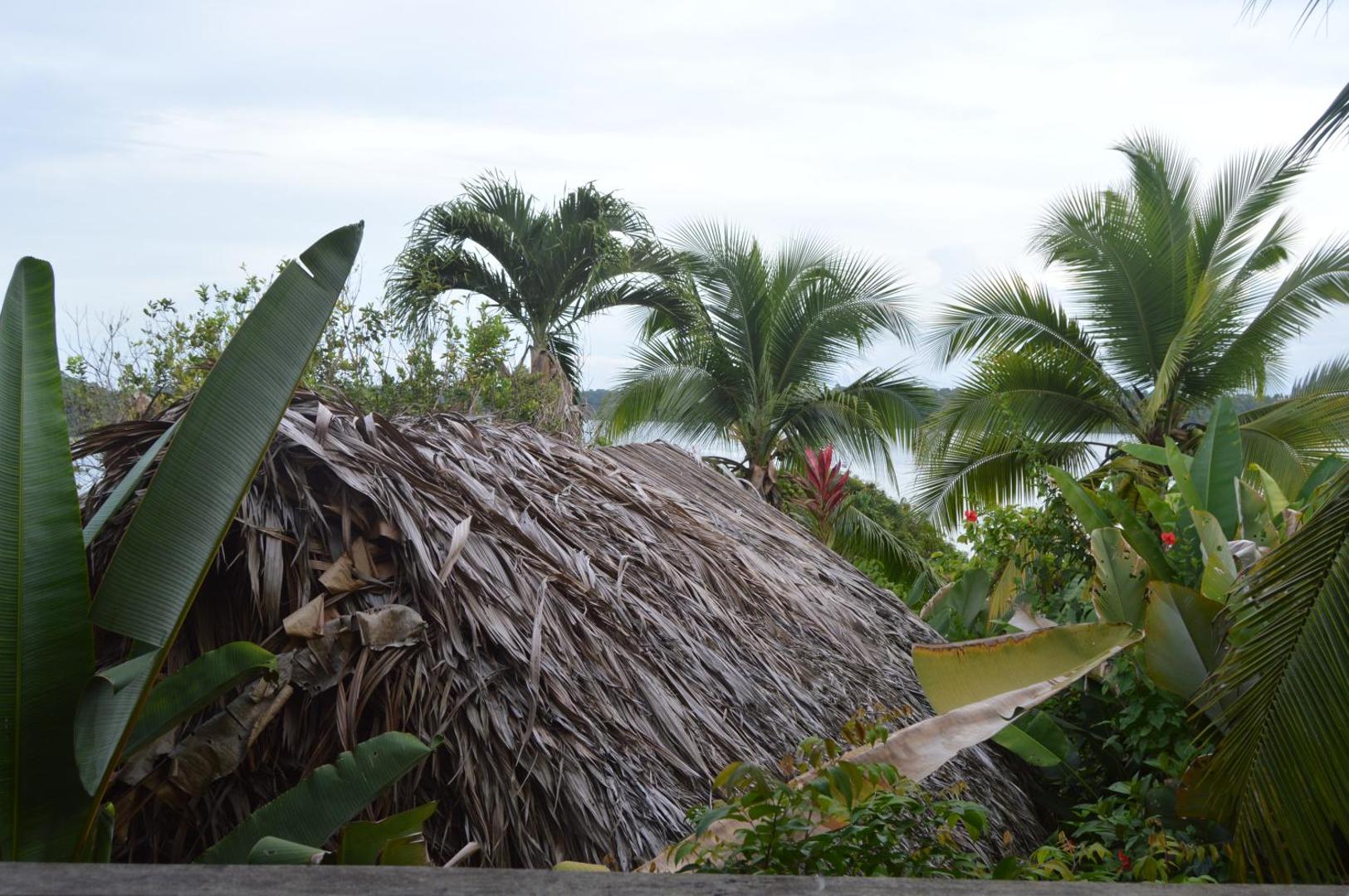 Beverly's Hill Guest House