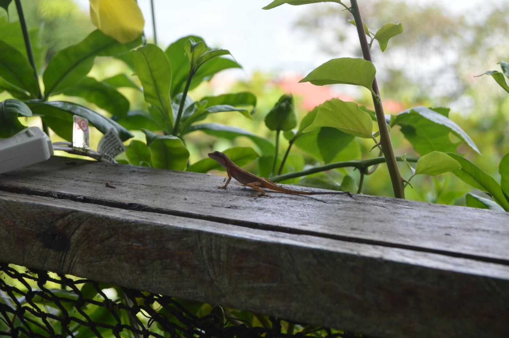 Beverly's Hill Guest House