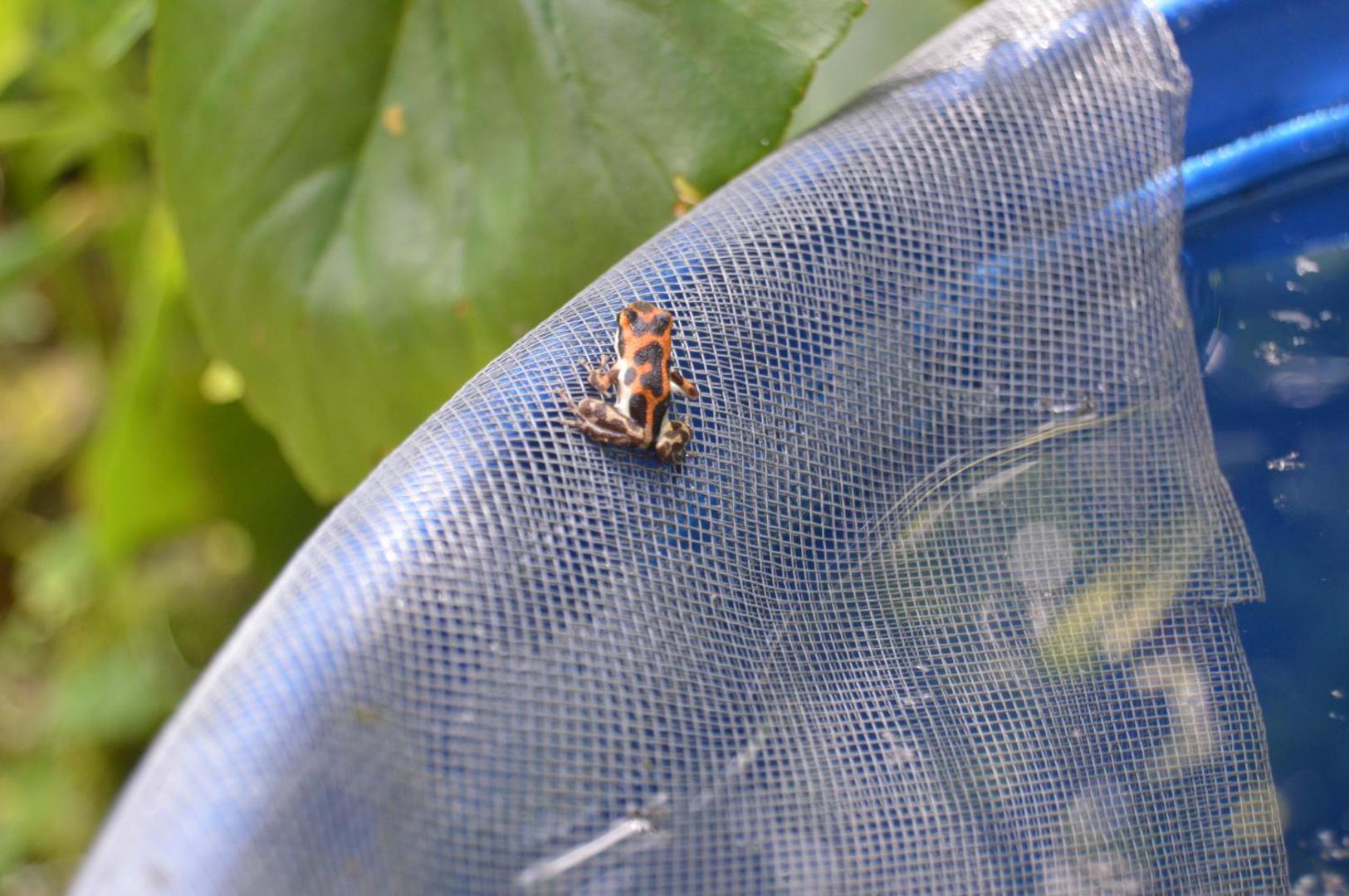 Beverly's Hill Guest House