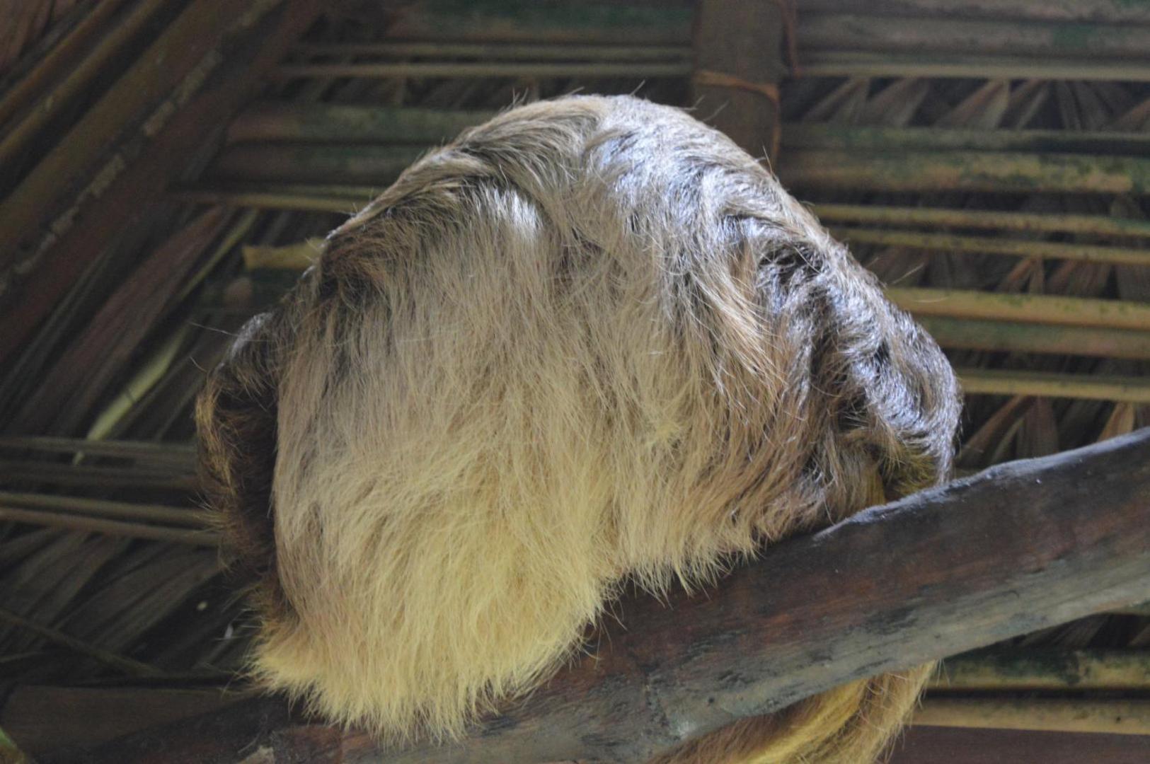 Beverly's Hill Guest House