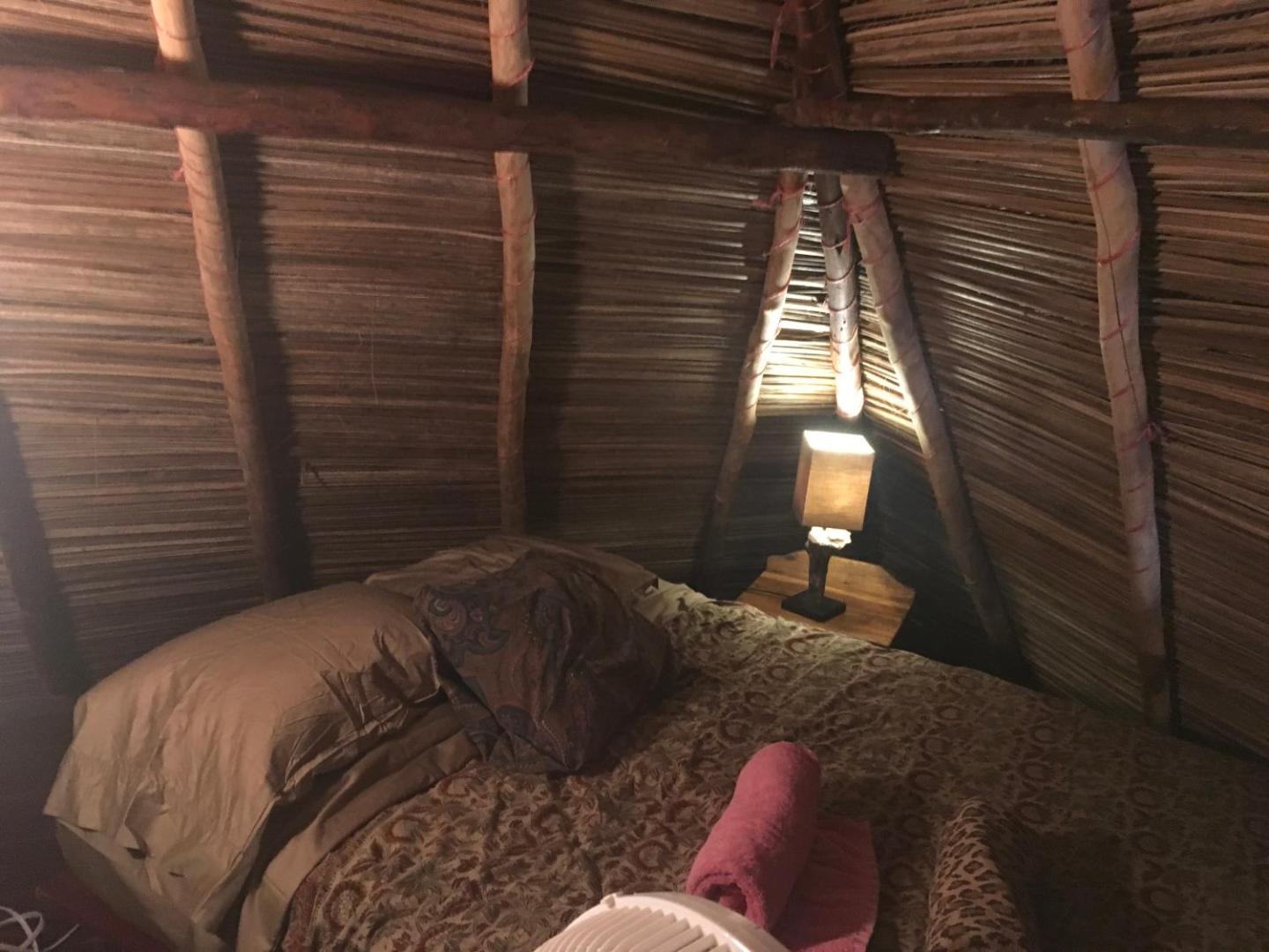 Free Spirit Oasis