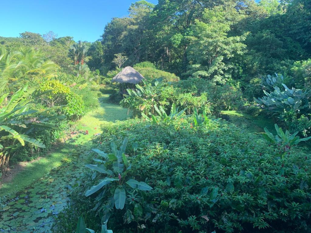 Hotel Eclypse de Mar Acqua Lodge